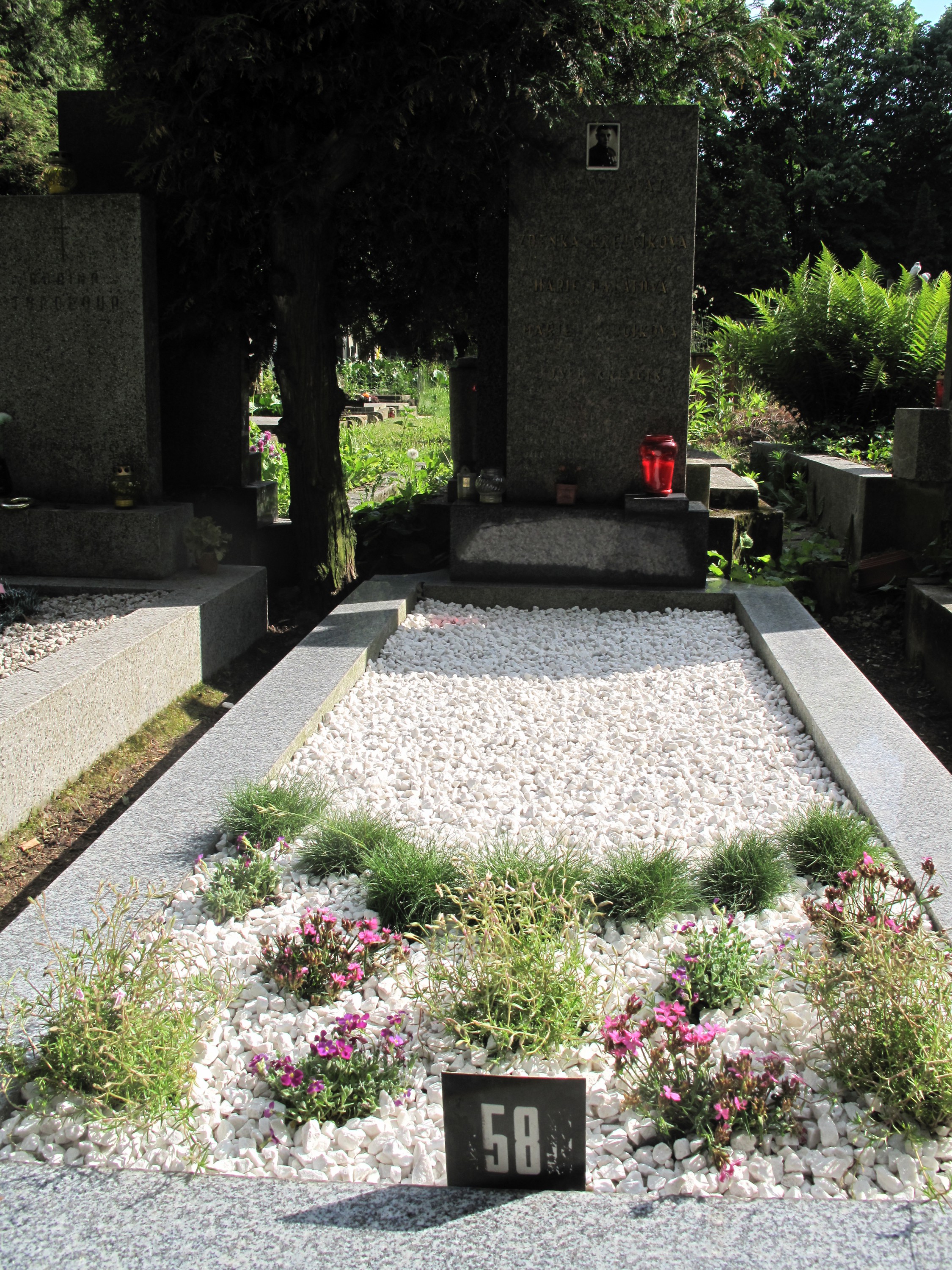 Gabriel´s garden, s.r.o. foto 2