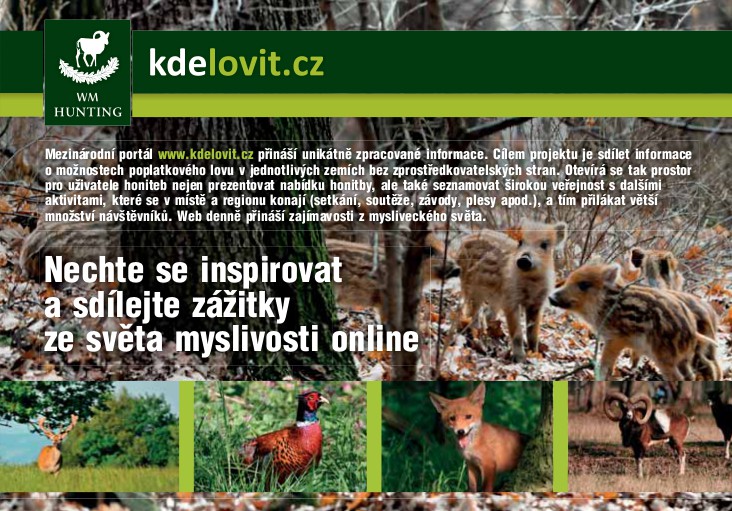 Kdelovit.cz foto 3