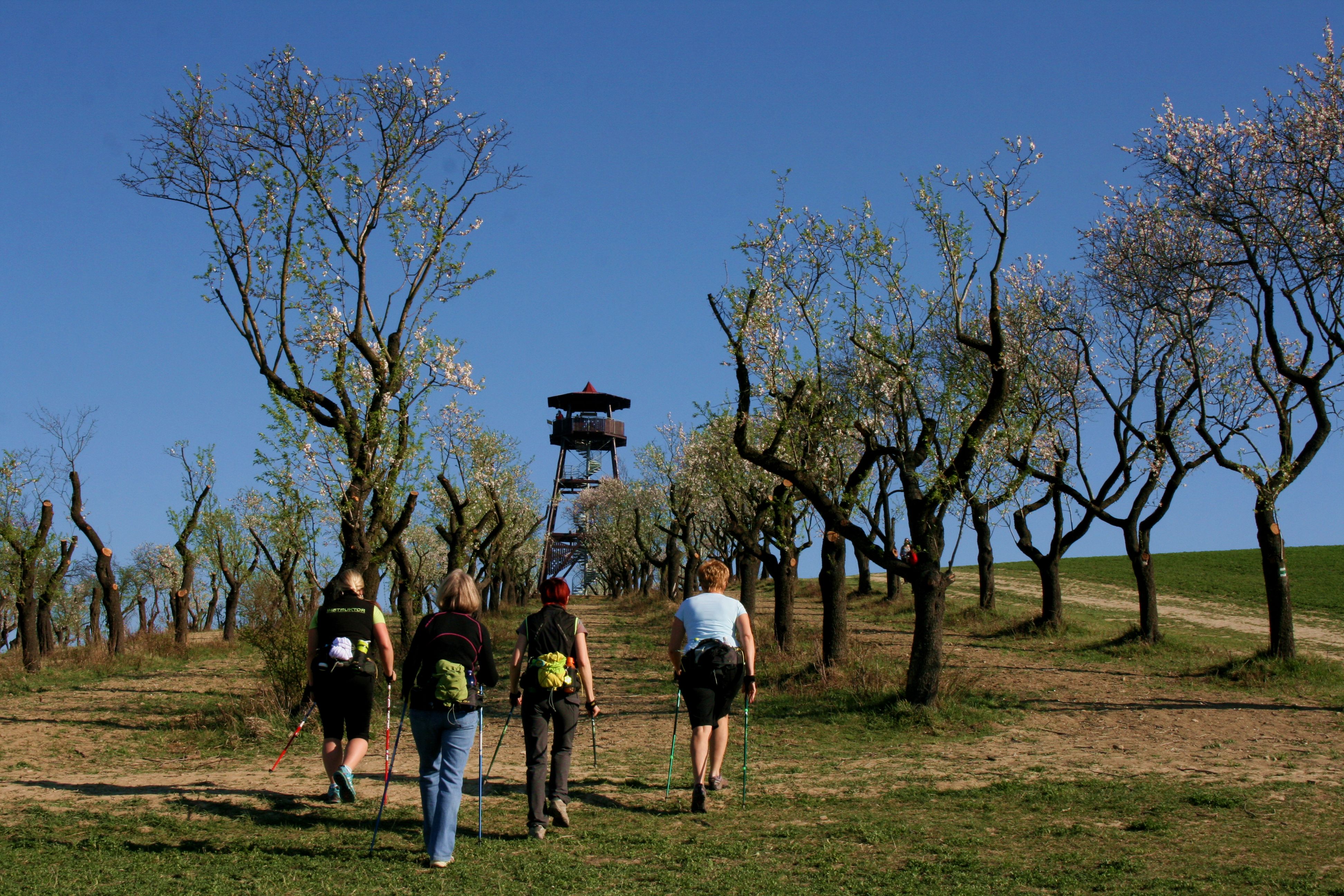 HEKOČ - Hejbni kostrou člověče foto 2