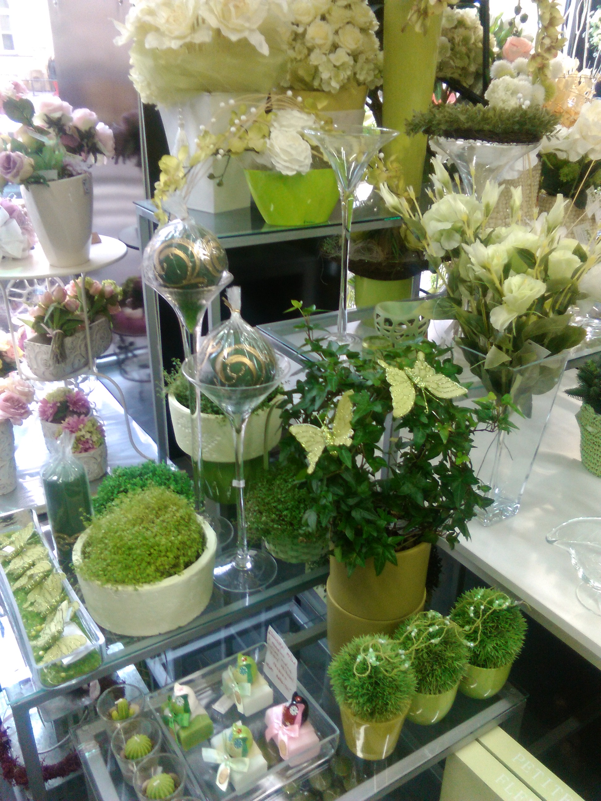 Květiny Incana foto 3