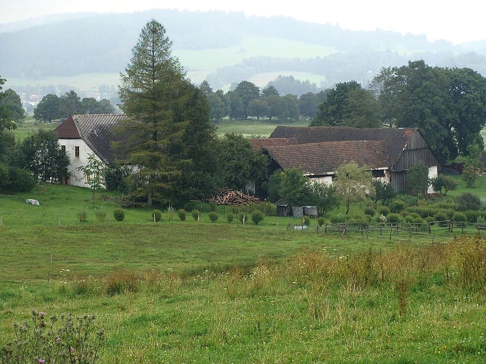 Knihy Stehlík foto 1
