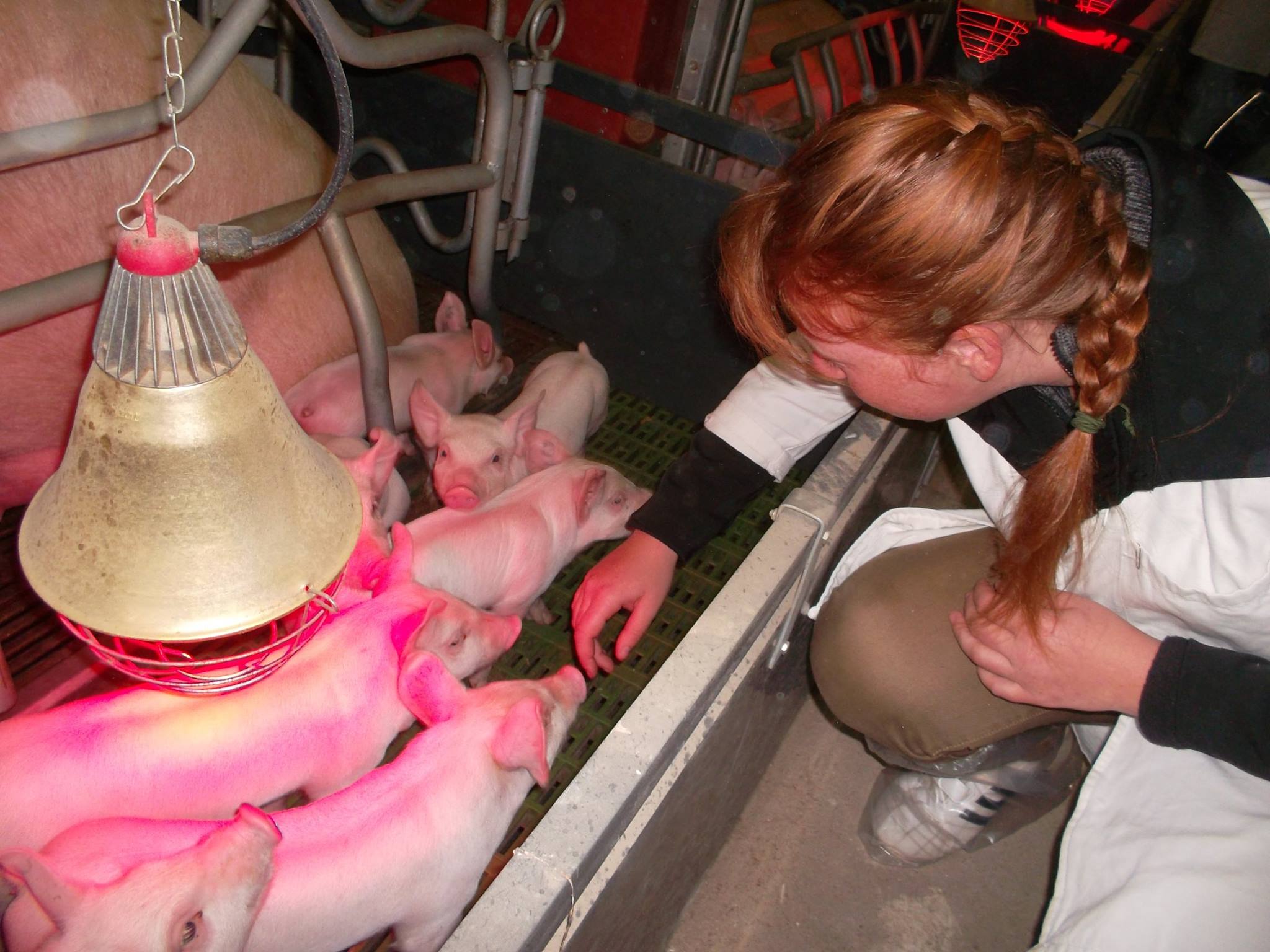 Veterinární lékař - MVDr. Lenka Sedláková foto 1