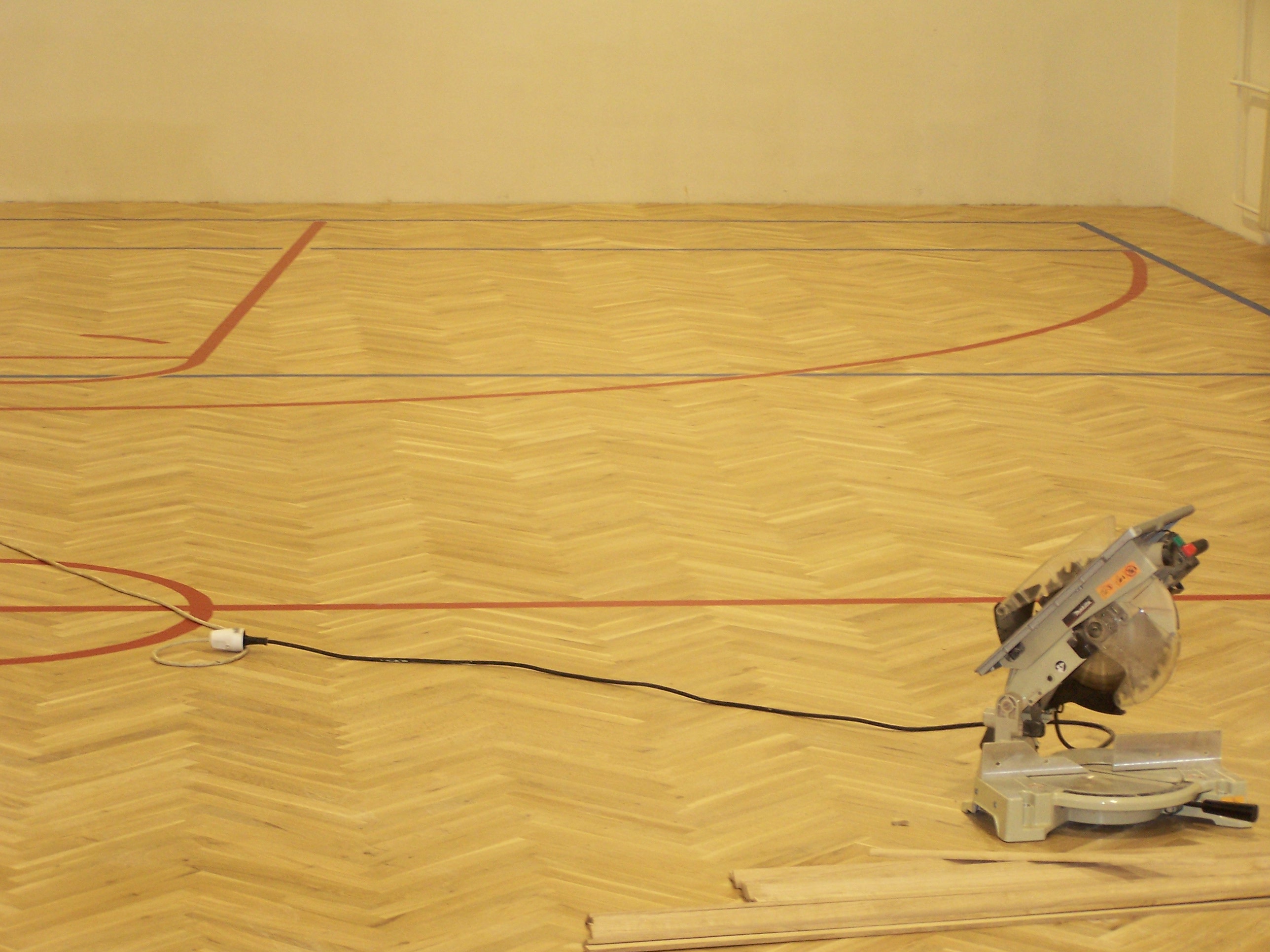 Ing. Roman Smejtek - SOS foto 2