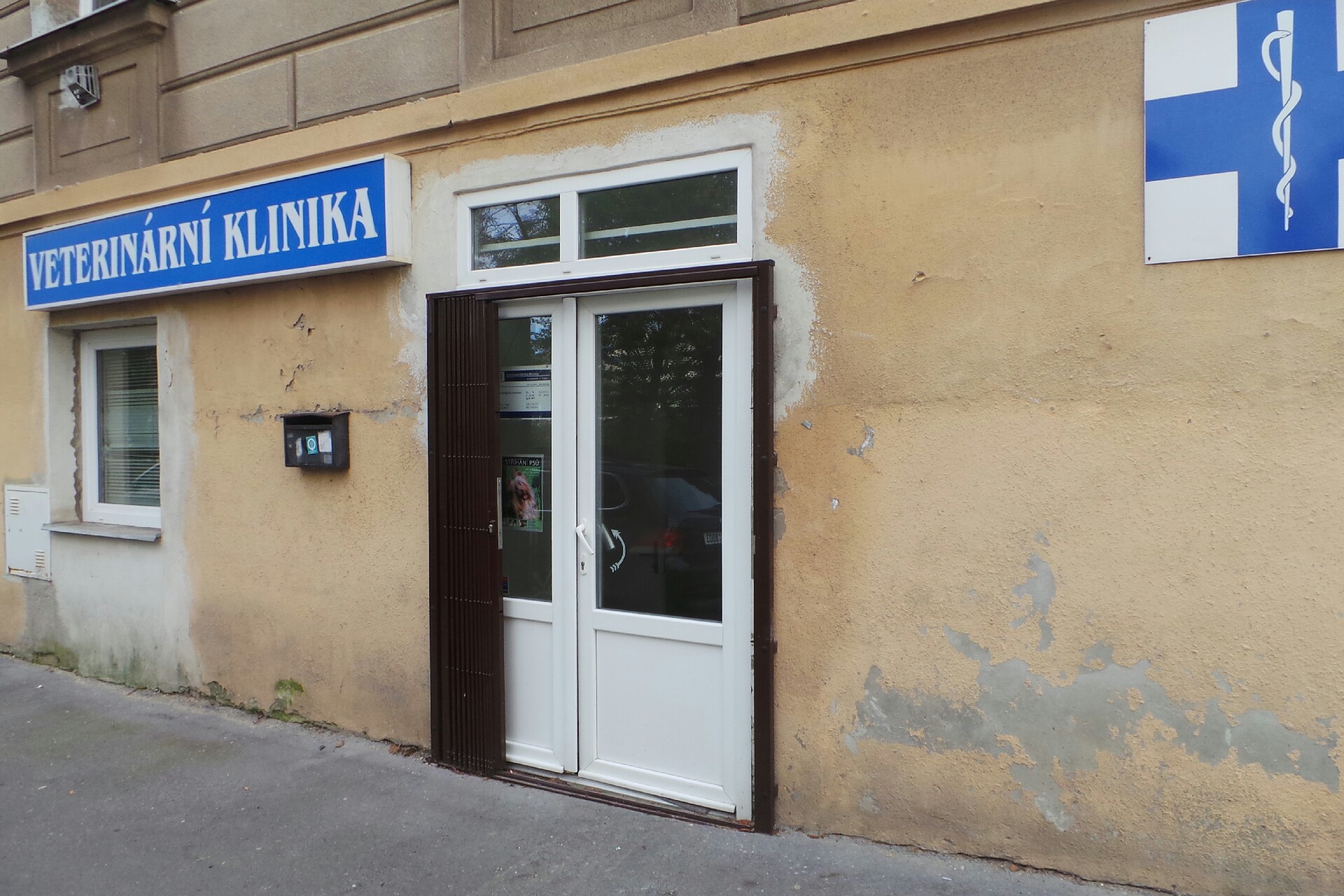 Pavla Kazdová - stříhání psů a koček