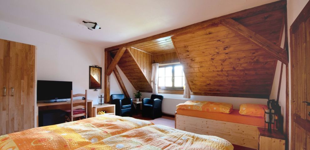 Holzberg - Wellness ubytování foto 6