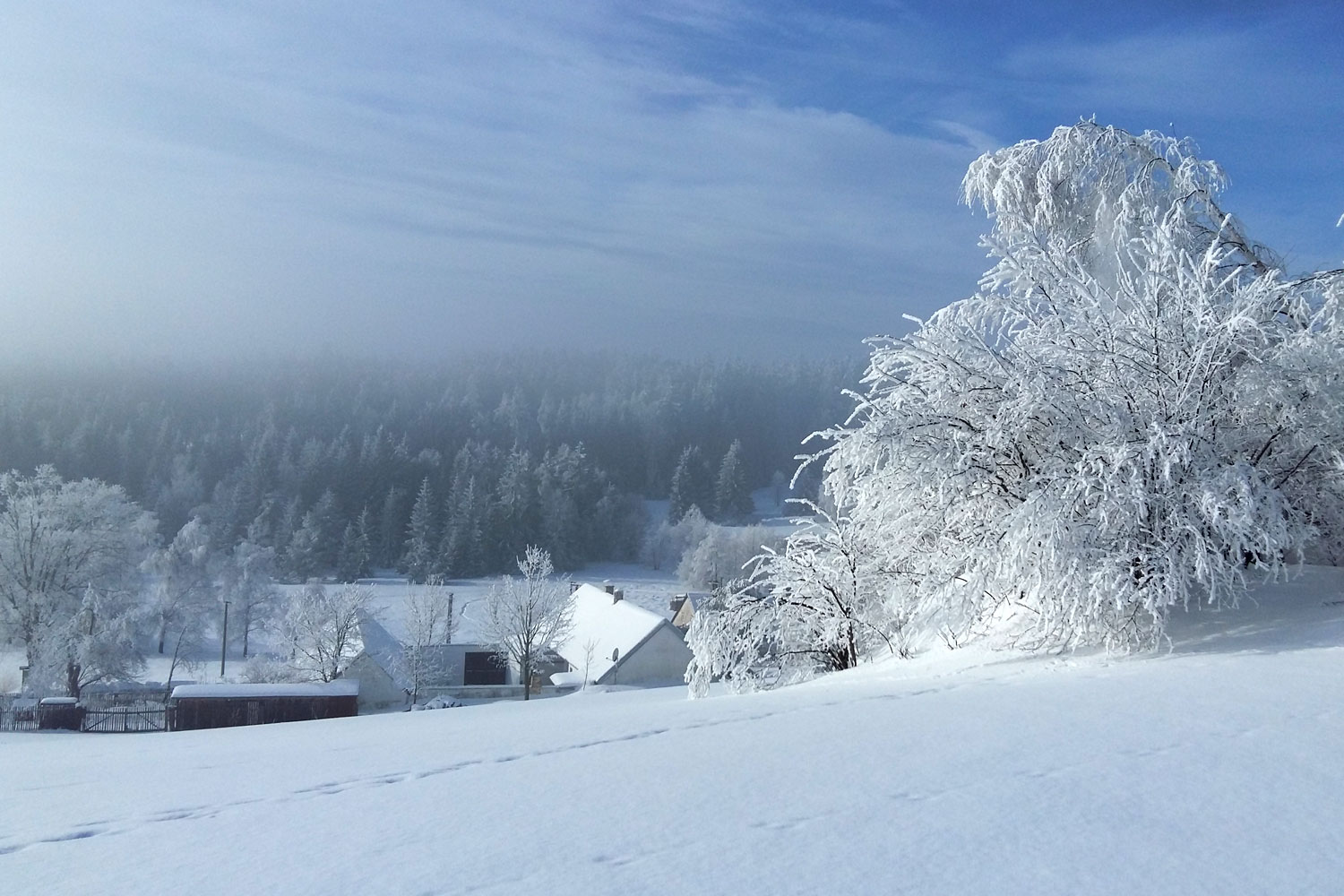 Šmikmátor foto 3