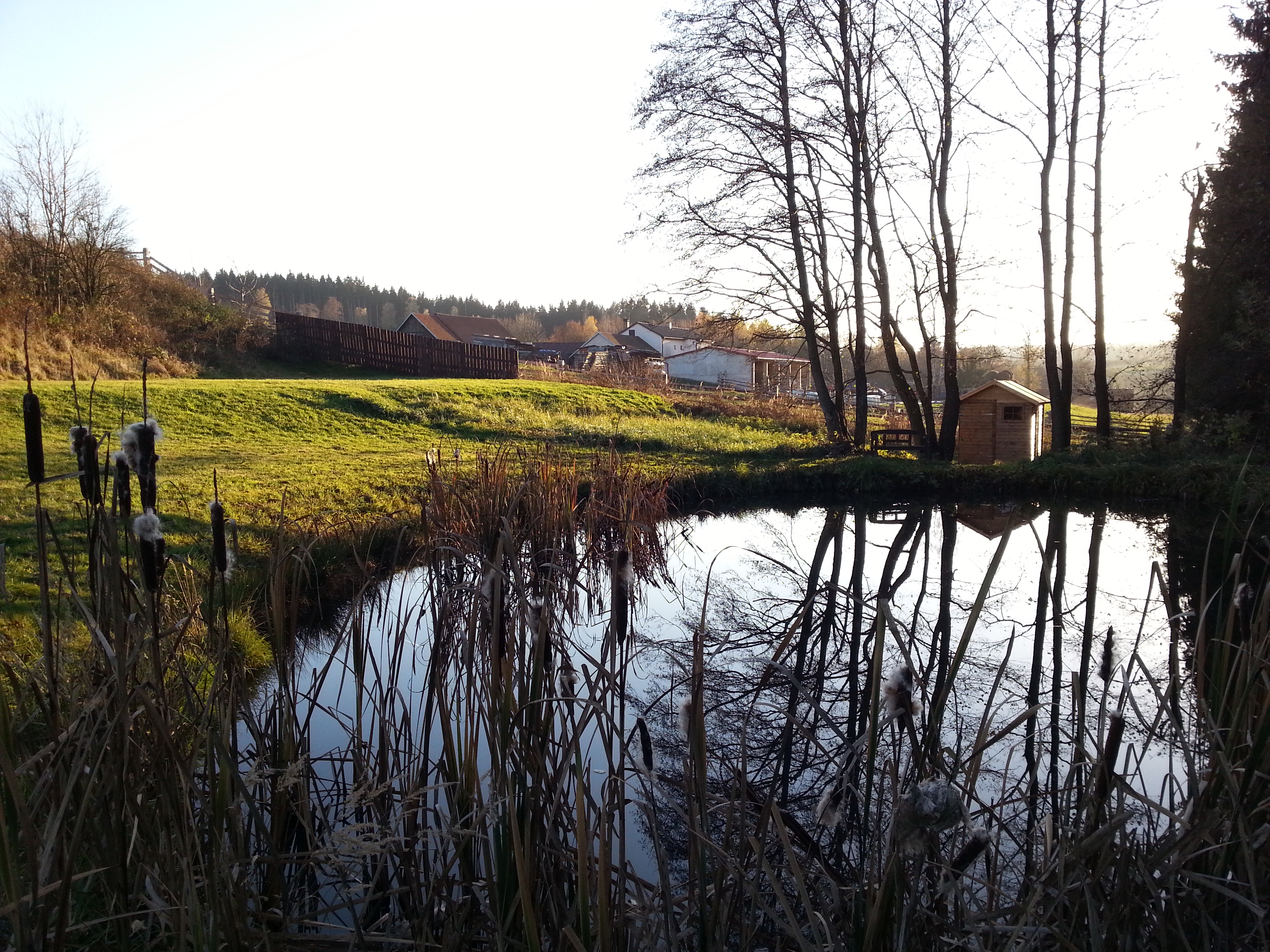 Stonewood - přírodní relaxačně naučný komplex foto 6