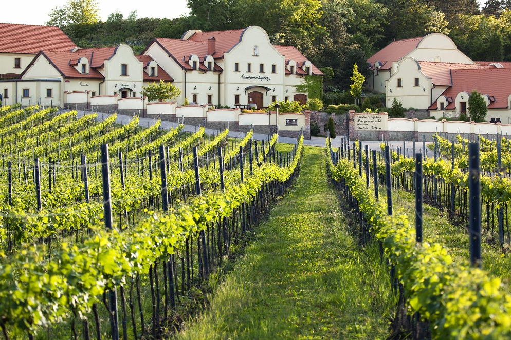 Vinný sklep Vinařství U Kapličky