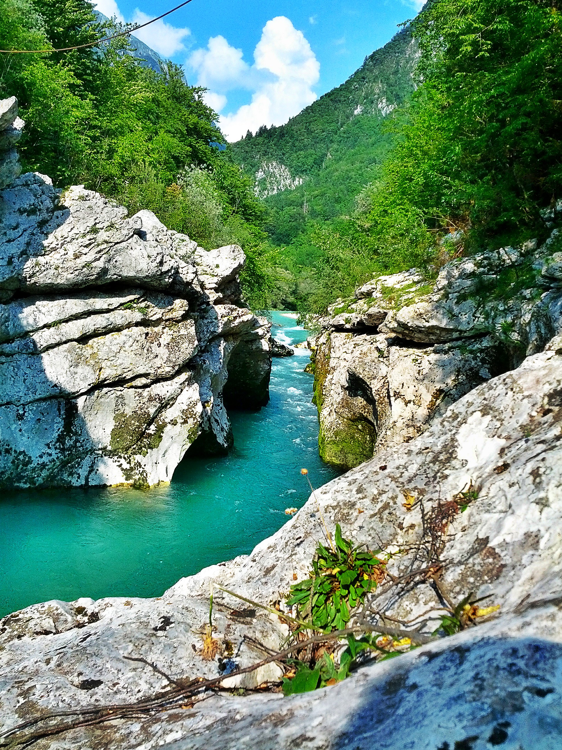 Relax Adriatic foto 3
