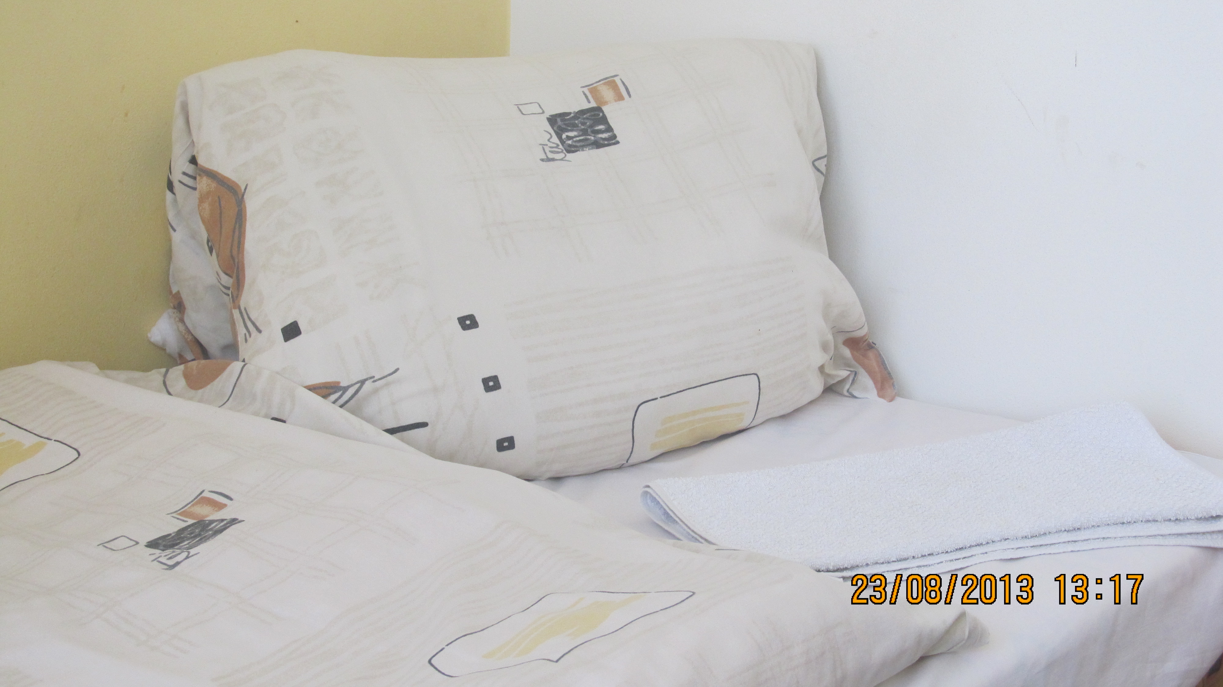 Ubytovna Scandinavia foto 3