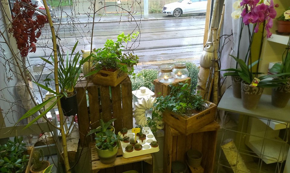 Květinářství 3D ROSES foto 3