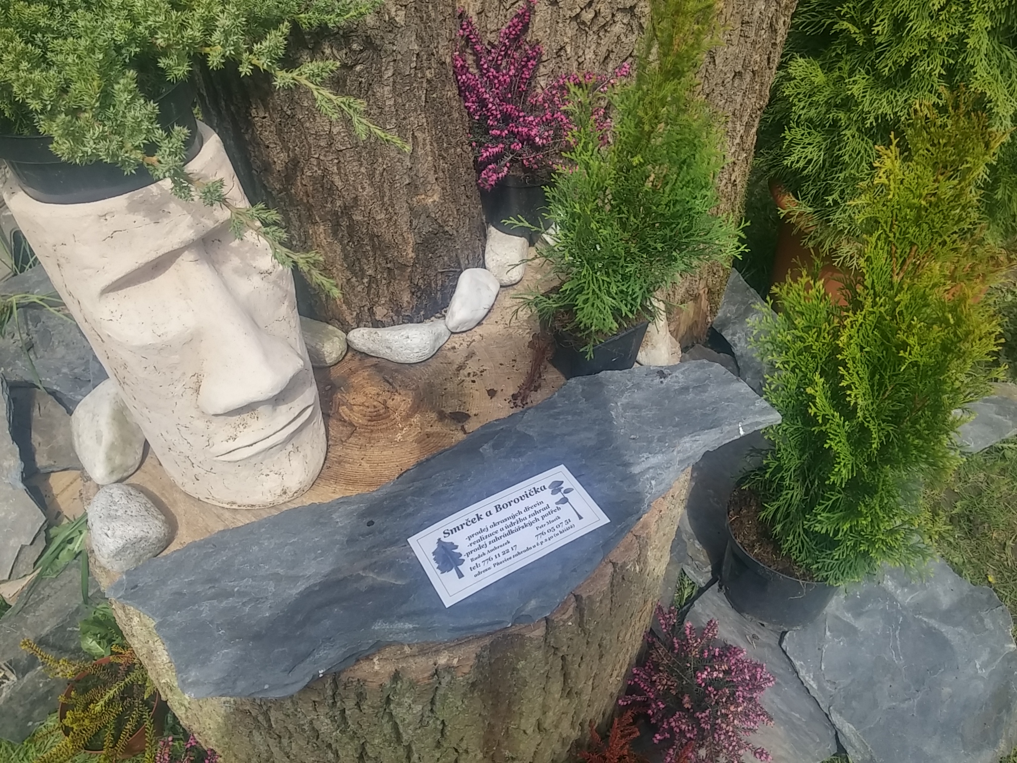 Zahradnictví Smrček a Borovička foto 2