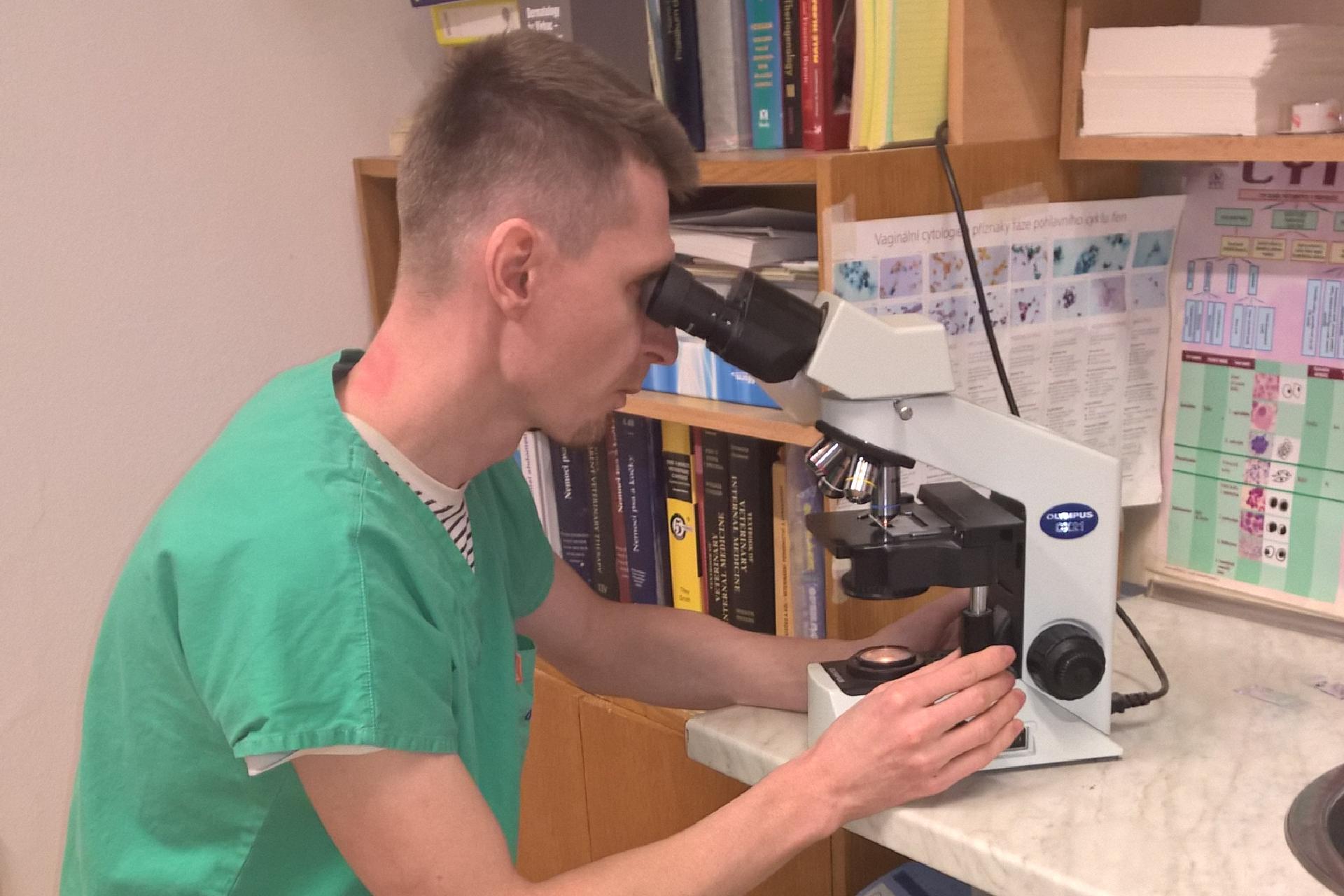 MVDr. Daniel Honzák - deratizace, dezinsekce, dezinfekce