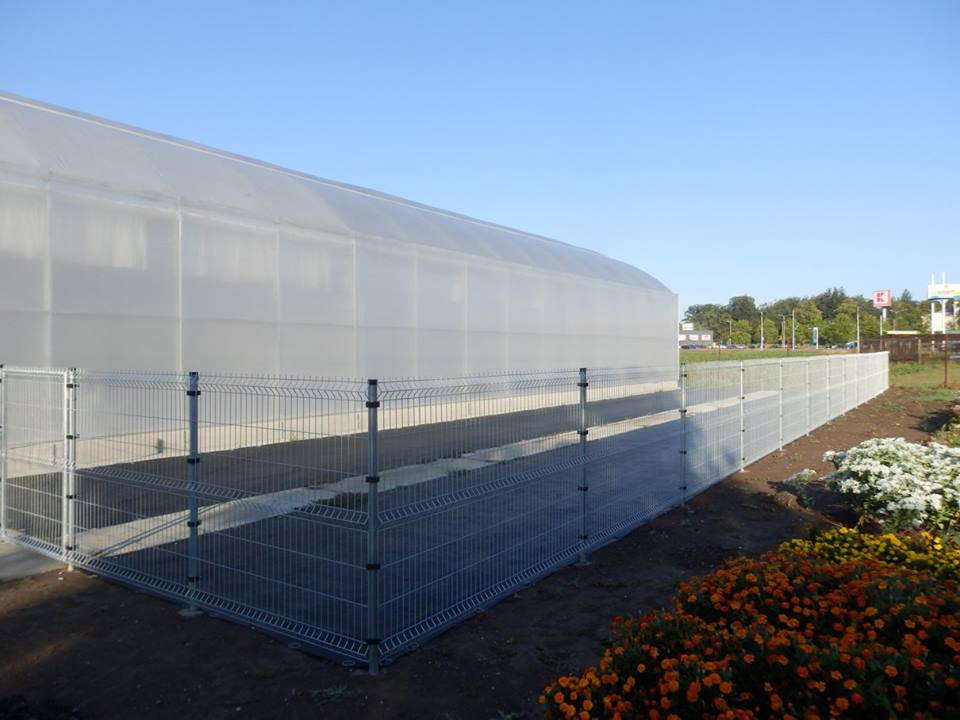 Rostislav Francek foto 4