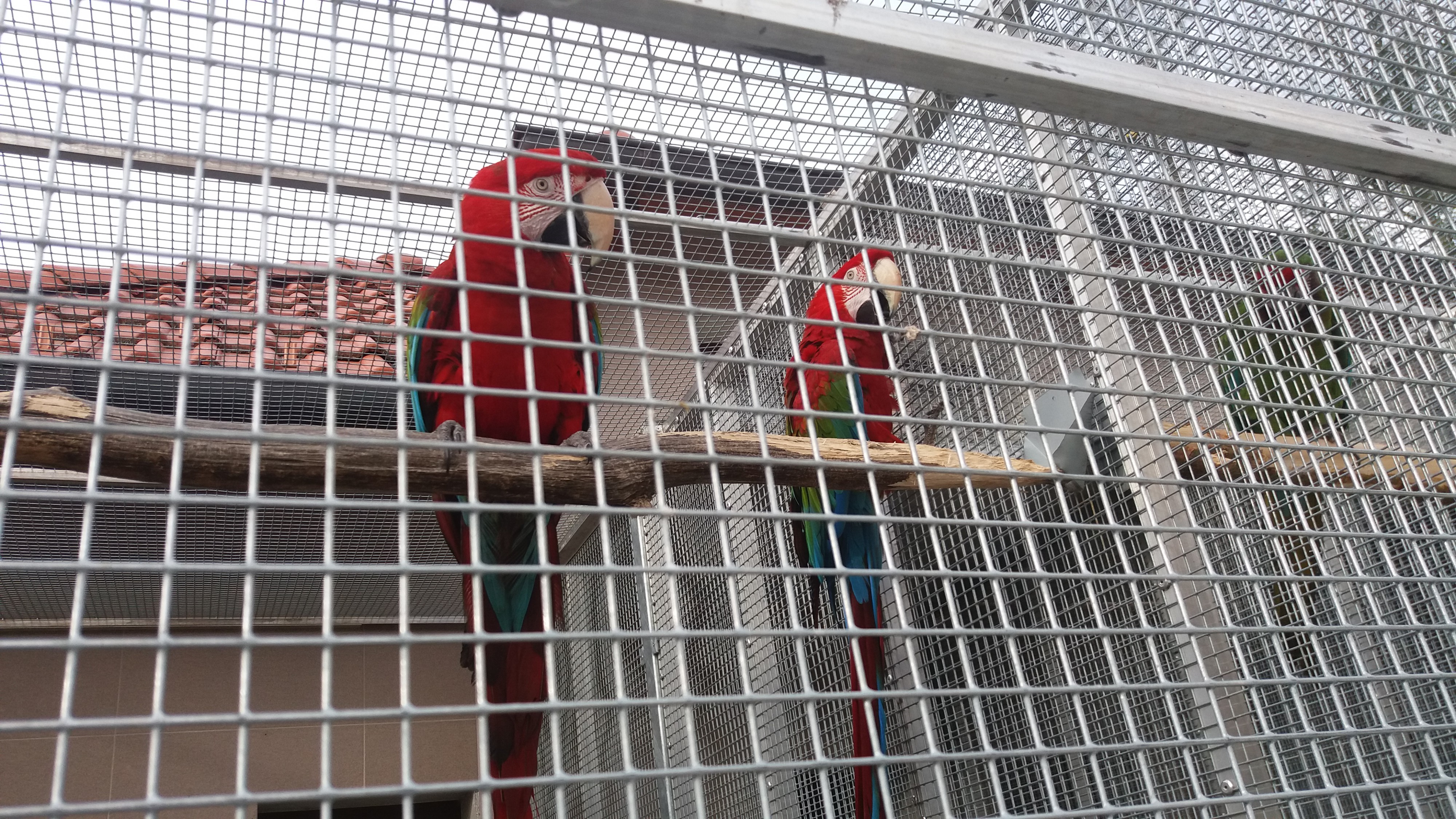 Jindřich Veselský foto 1