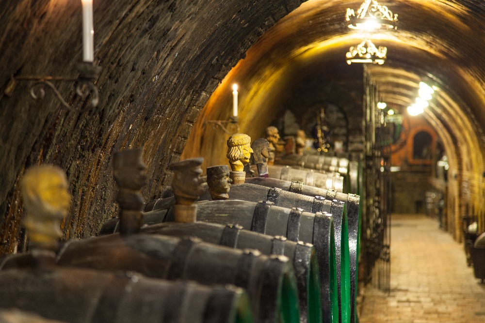 Rodinné vinařství Turzík foto 3