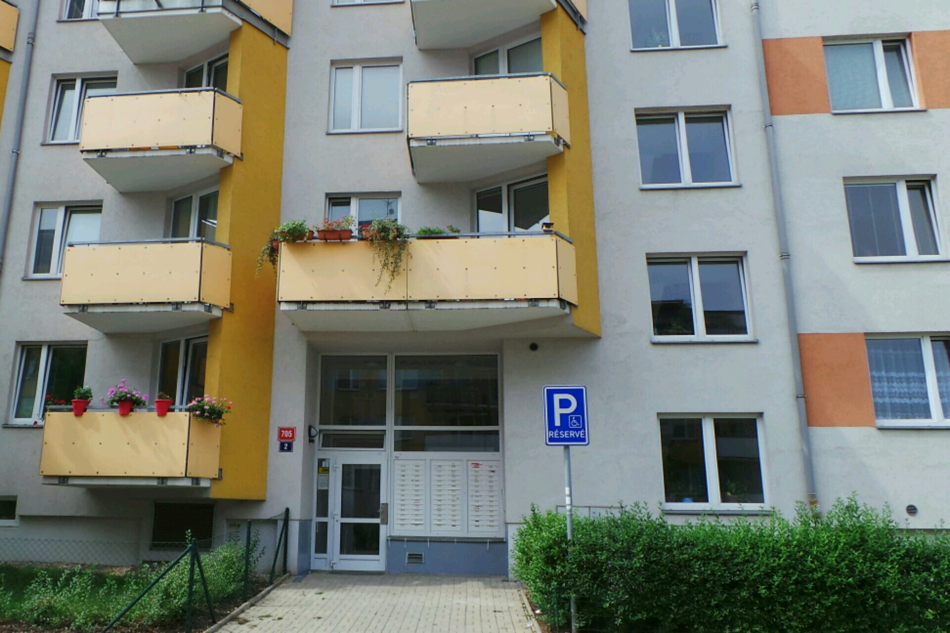 Fitness trenér Tomáš Miřátský