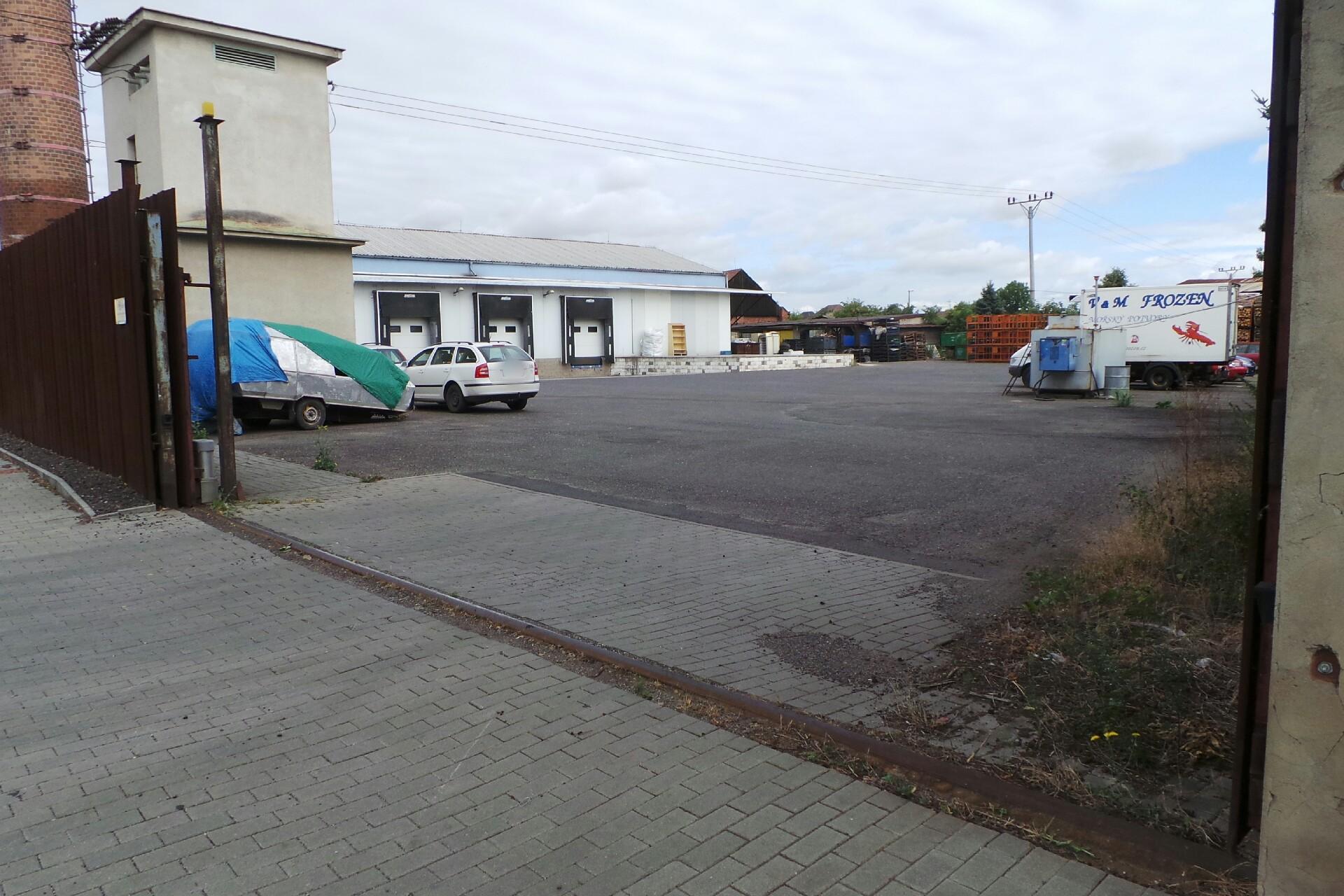 V & M FROZEN mořský potvory, s.r.o.