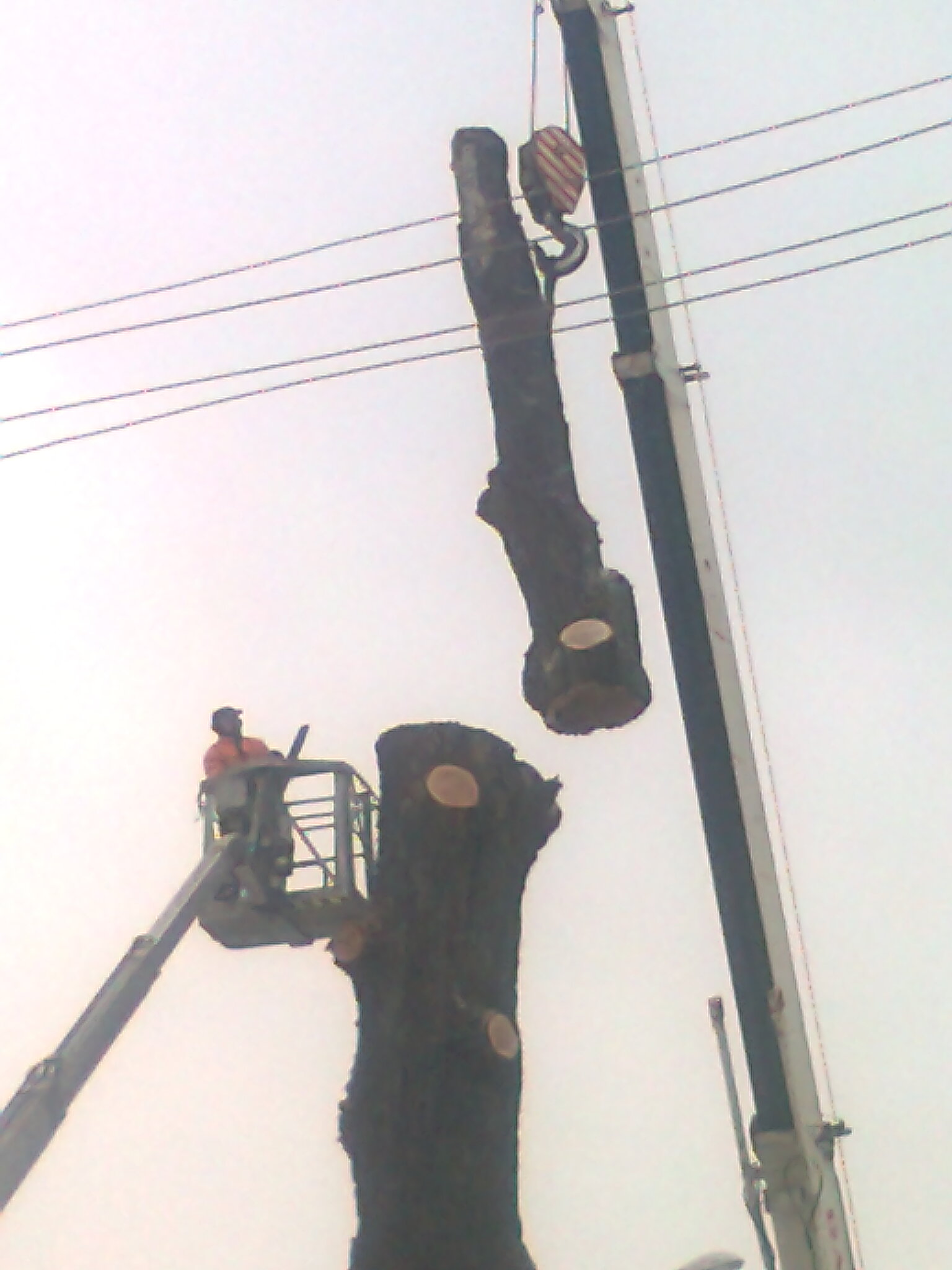 Zemní práce a výškové práce Kos foto 4