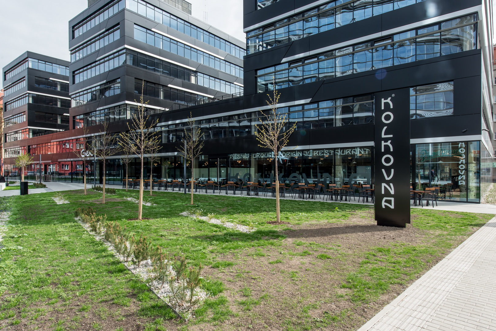 Kolkovna Argentinská foto 4