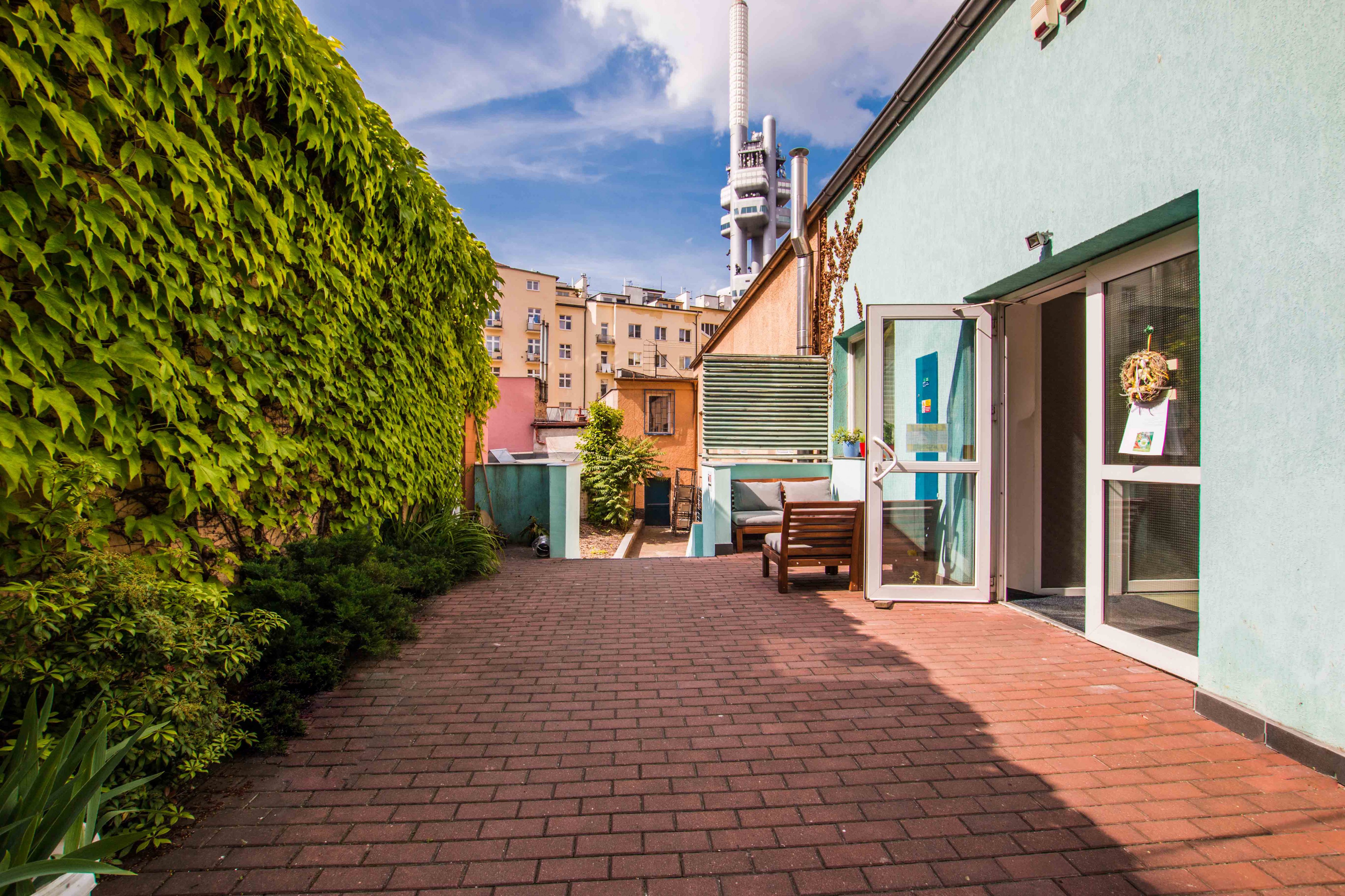 YOGA BLUE ART foto 4