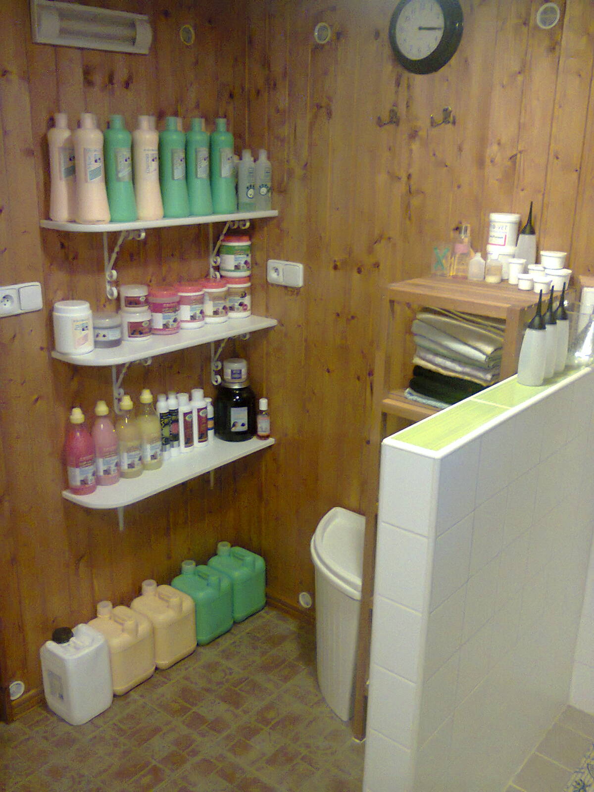 Styling psů Brno foto 4