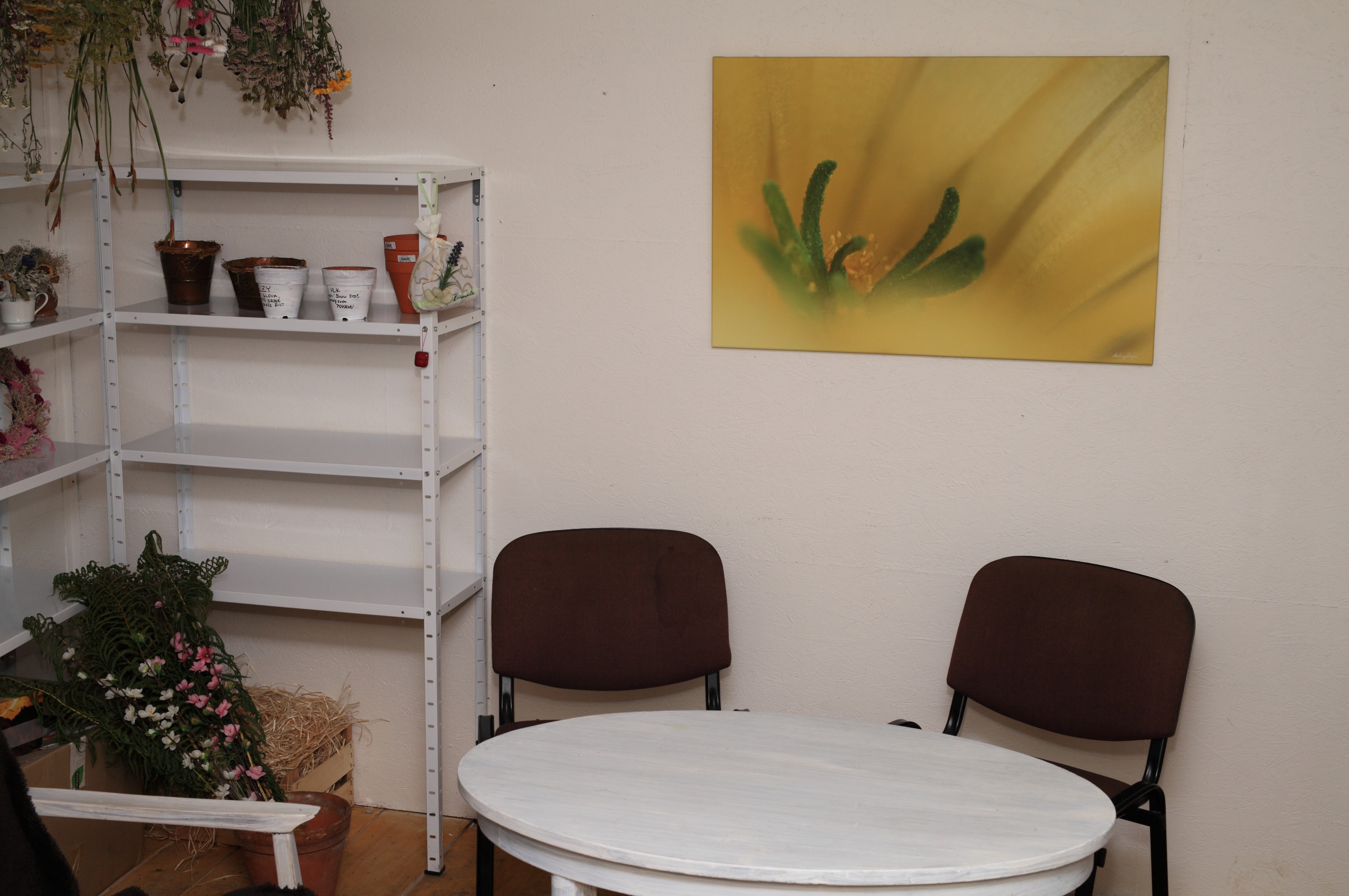 Zahradnictví Kvítko foto 4