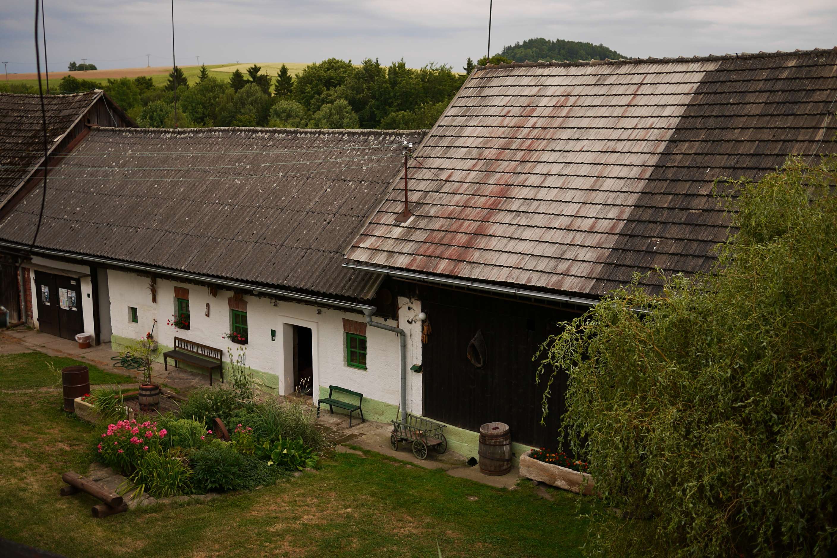 U dědka foto 2