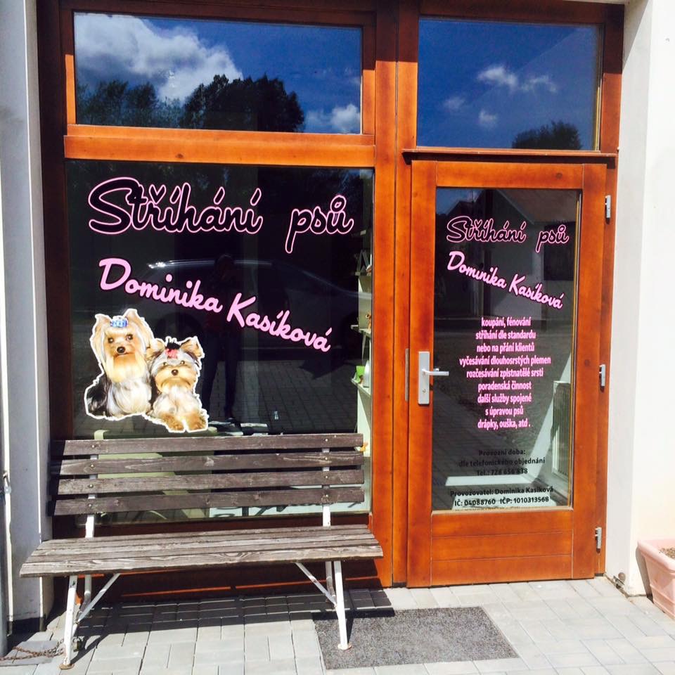 Dominika Kasíková foto 4