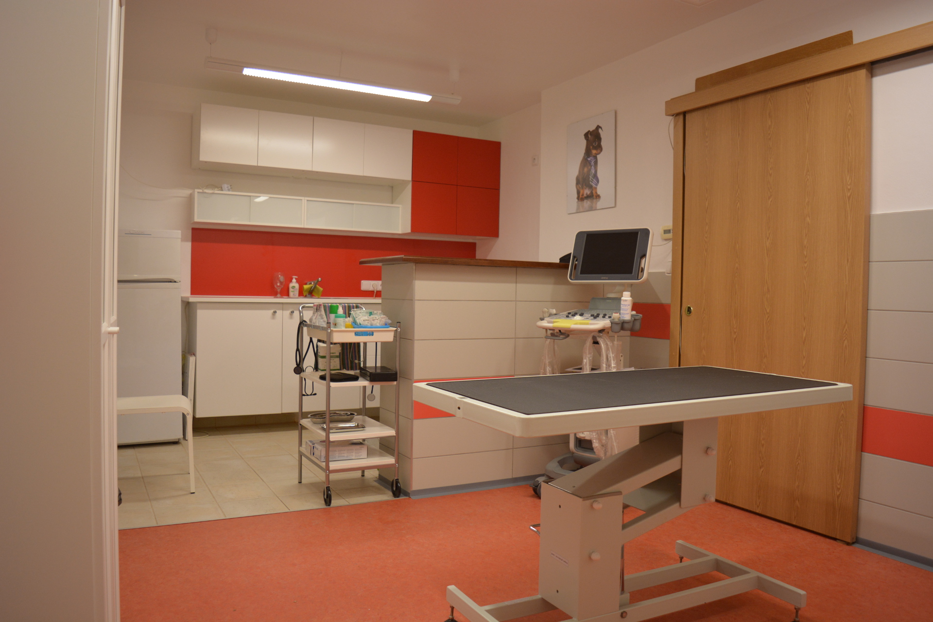 MVDr. Jiří Jiroudek - Veterina Oblačná foto 2