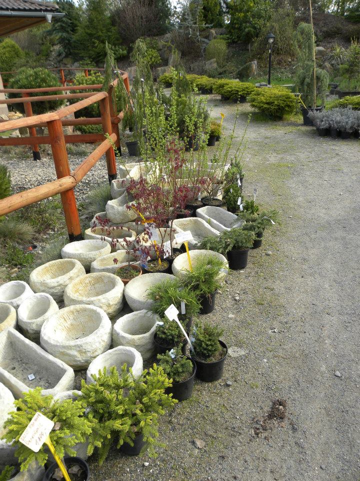 Naturcentrum Nemetona foto 4