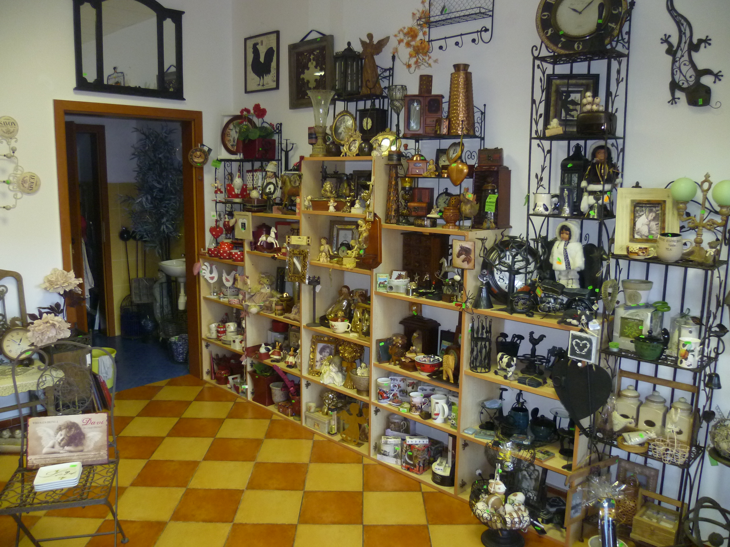 Kapradina foto 3