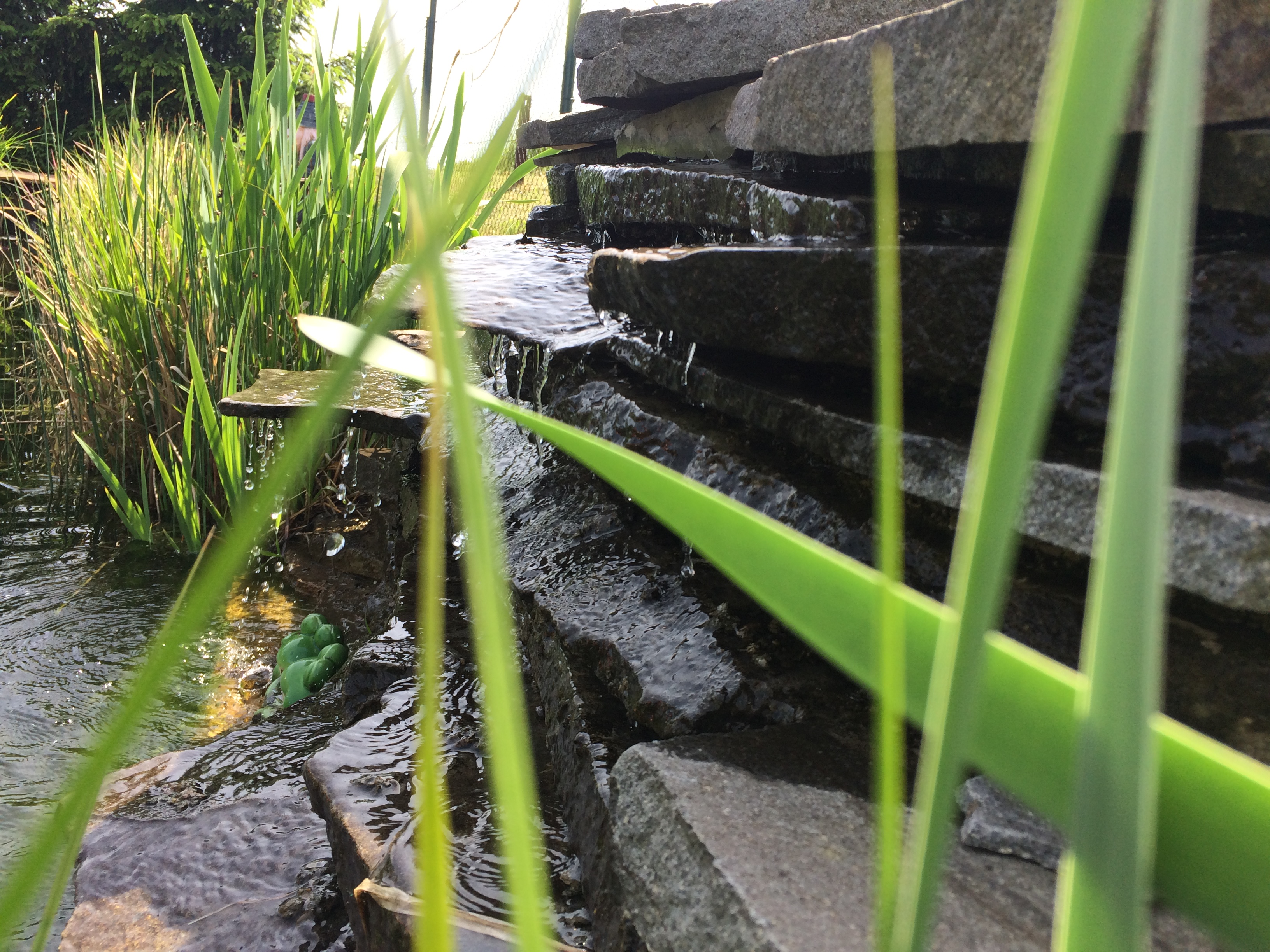 Balkonovajezirka.cz foto 3