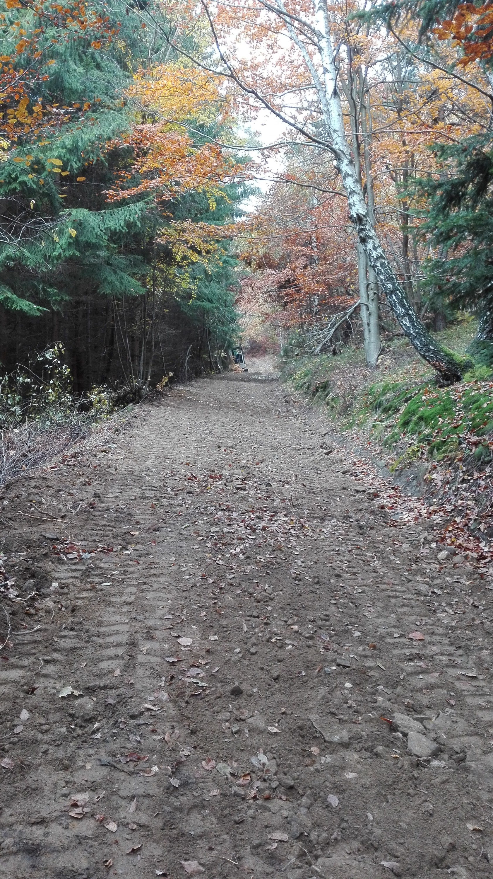 Zemní práce Dalibor Petřek foto 4