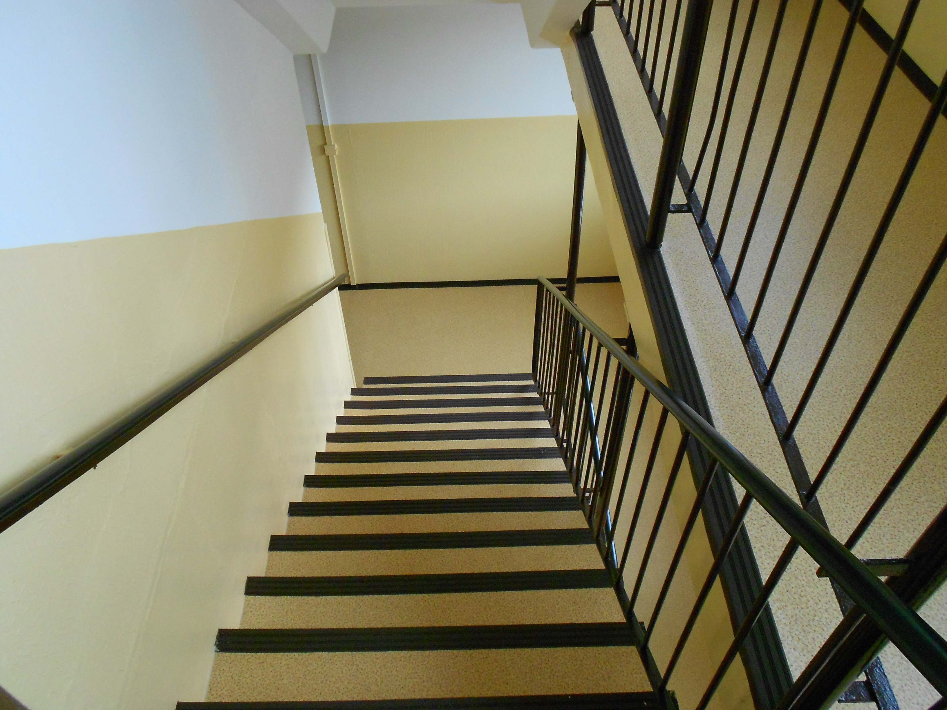 Filip Thomson podlahy-malování foto 2