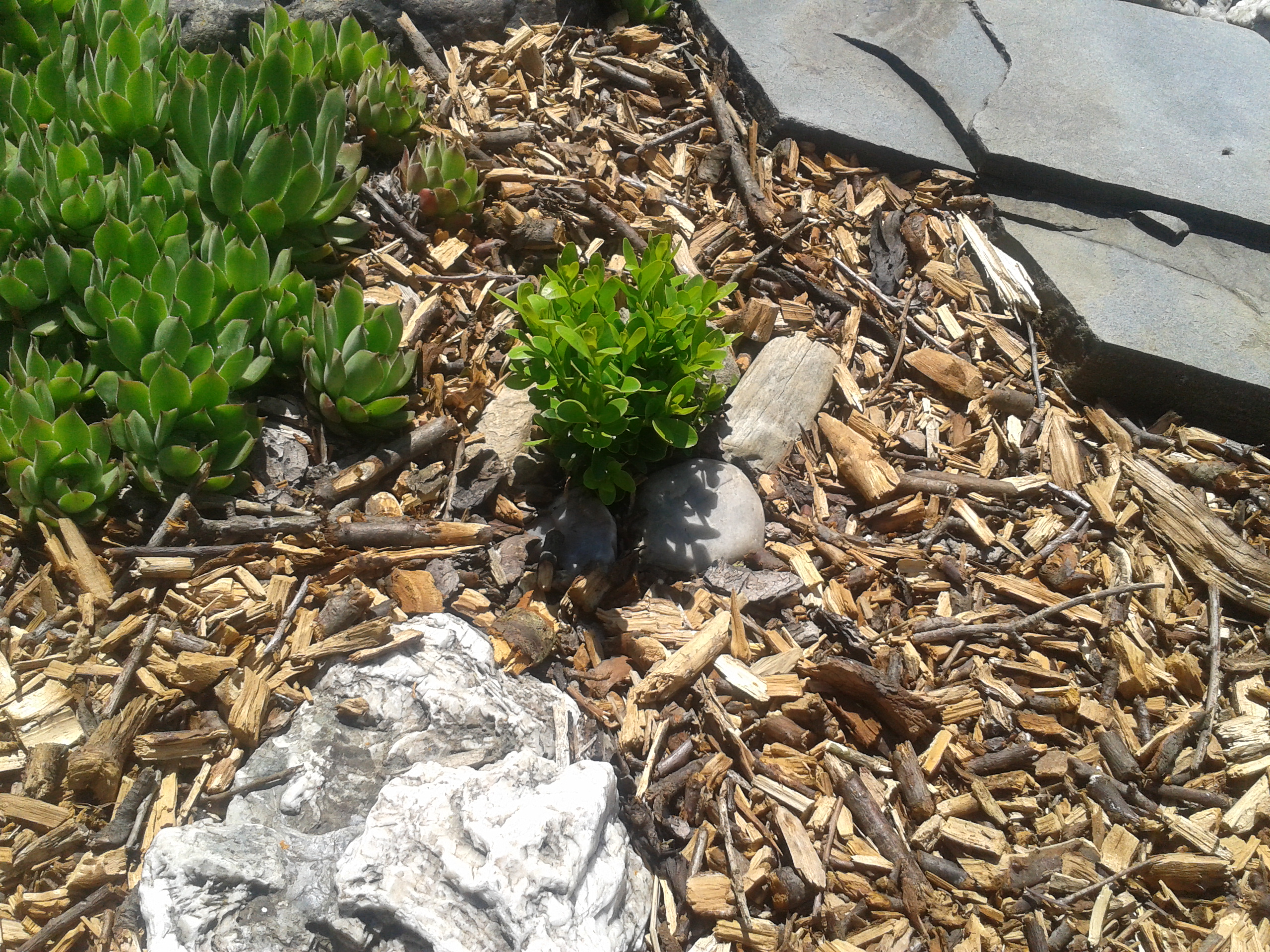 Stejskal Michal - prodej mulčovací kůry foto 3