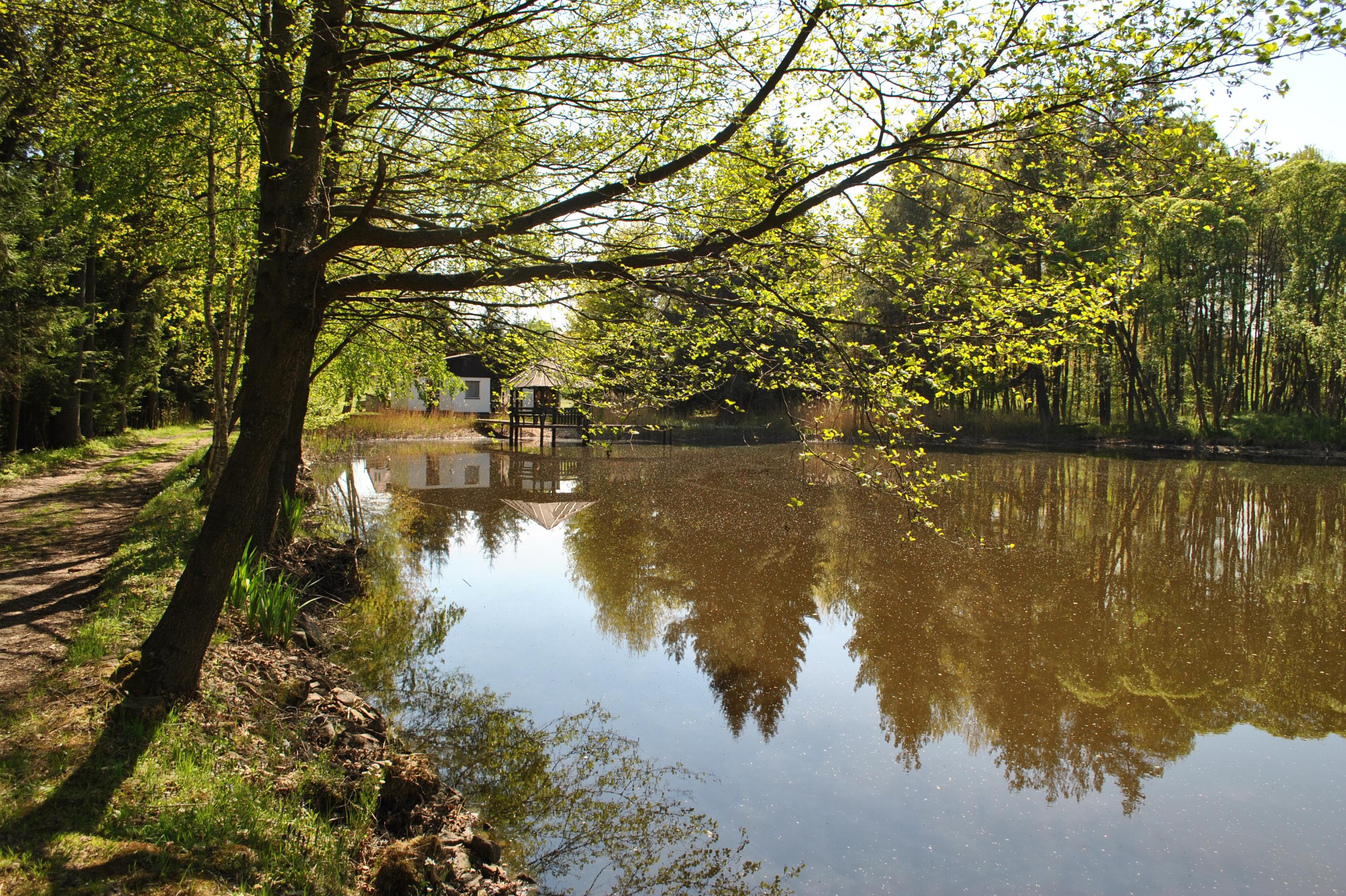 Ubytování Tušť foto 1