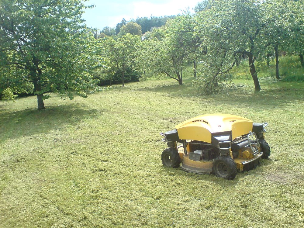 Zeleň Vysočina foto 4