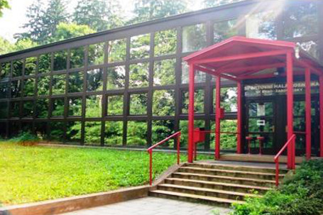 Pro-life fitness foto 1