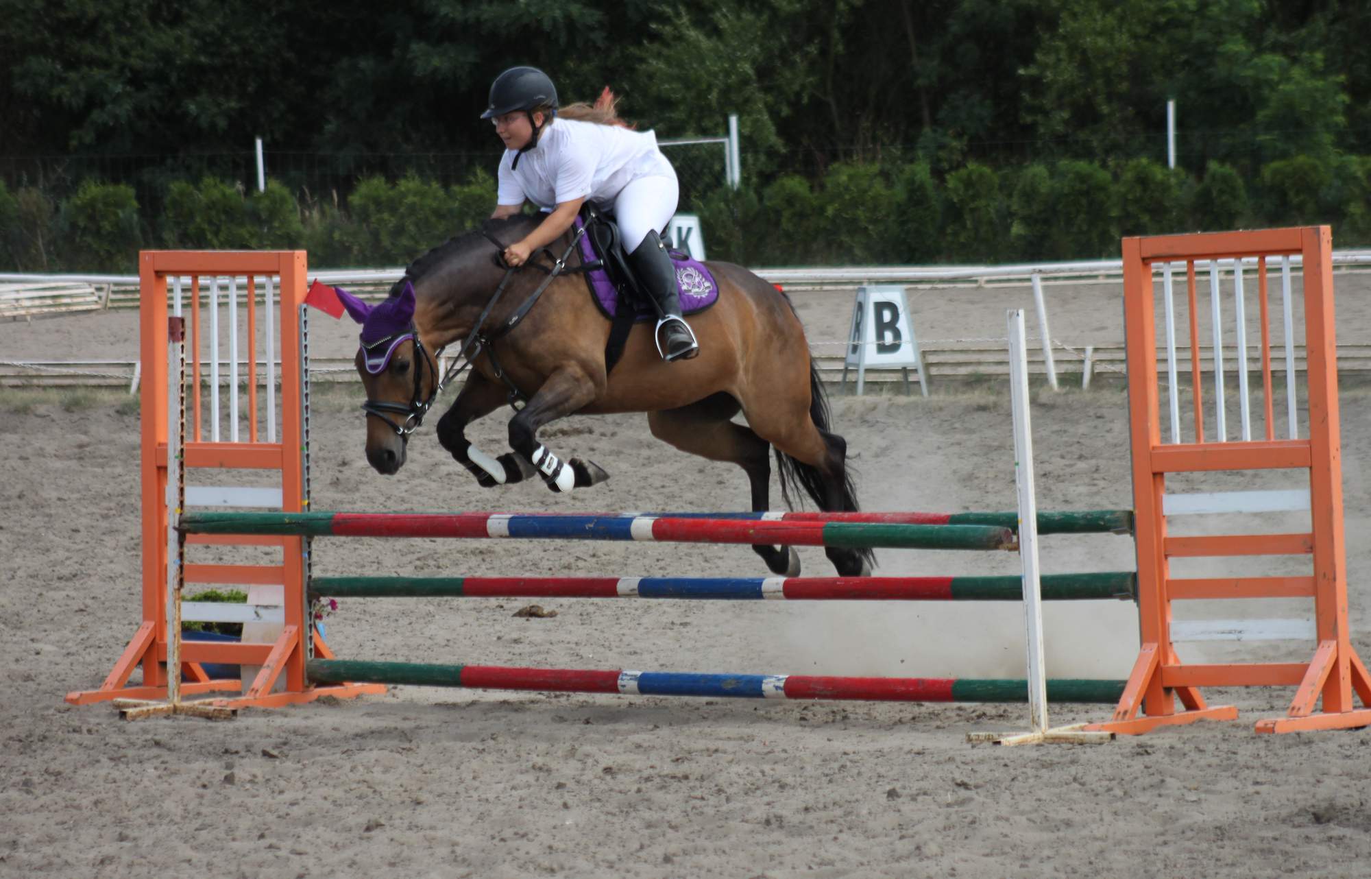 Jezdecká škola Trojanův Dvůr foto 2