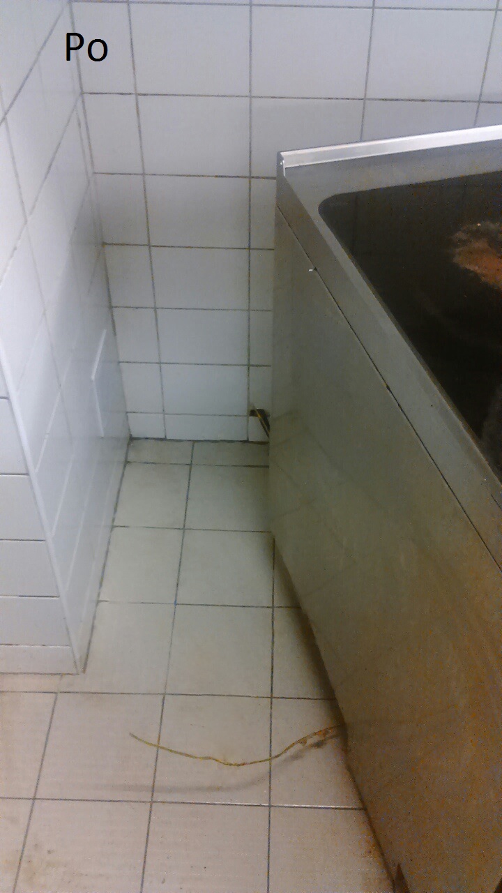 Steam company s.r.o. foto 3