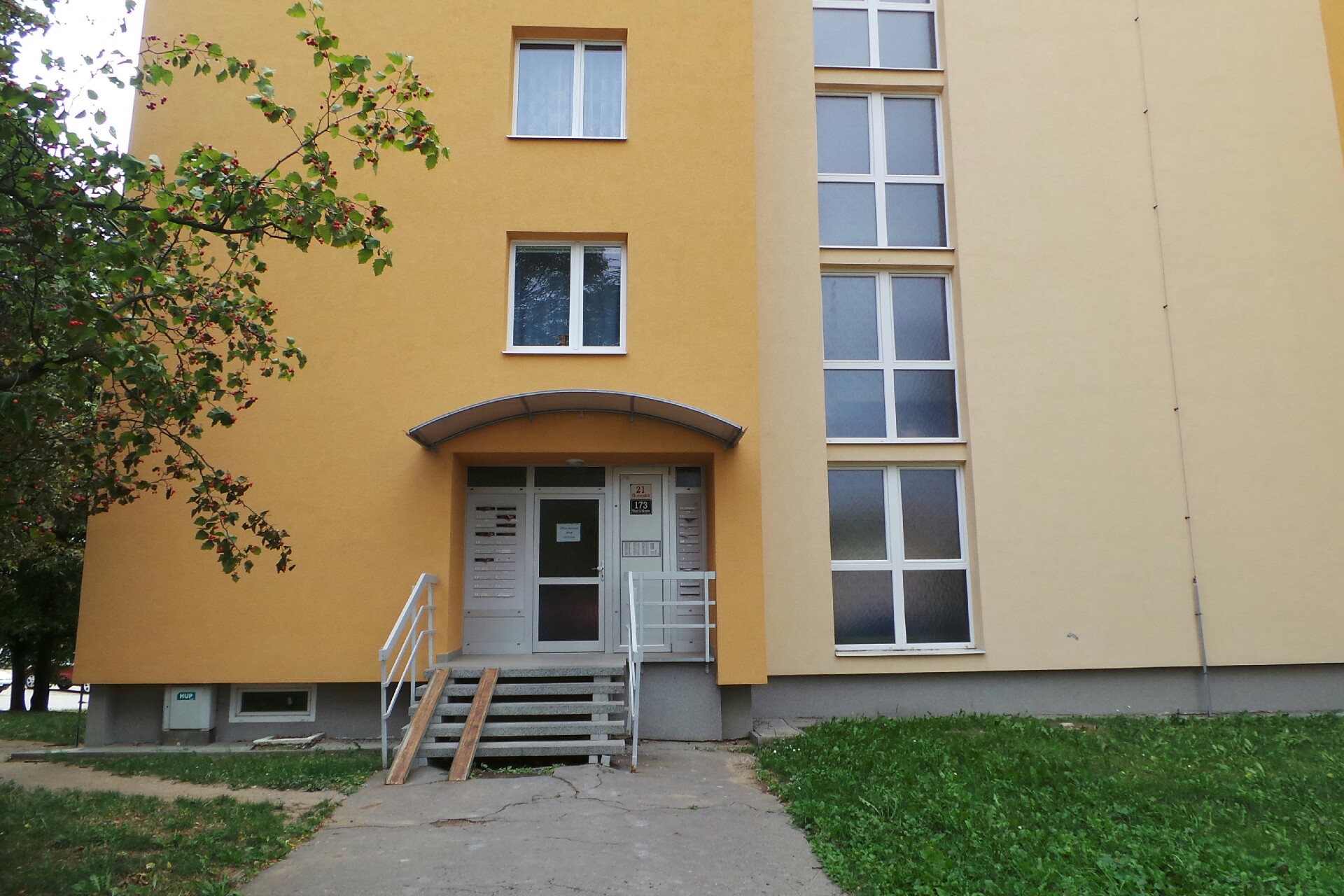 Mgr. Martina Stehlíková SCHOLA MEDICA