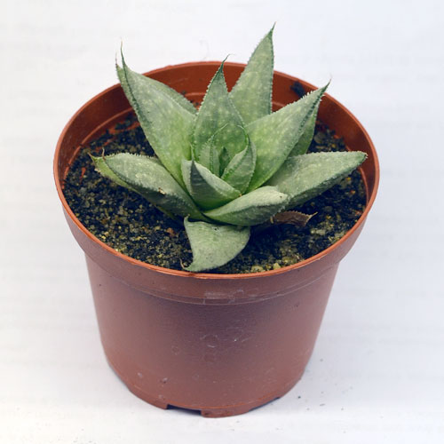 NOVÁ ZAHRADA, s.r.o. foto 2