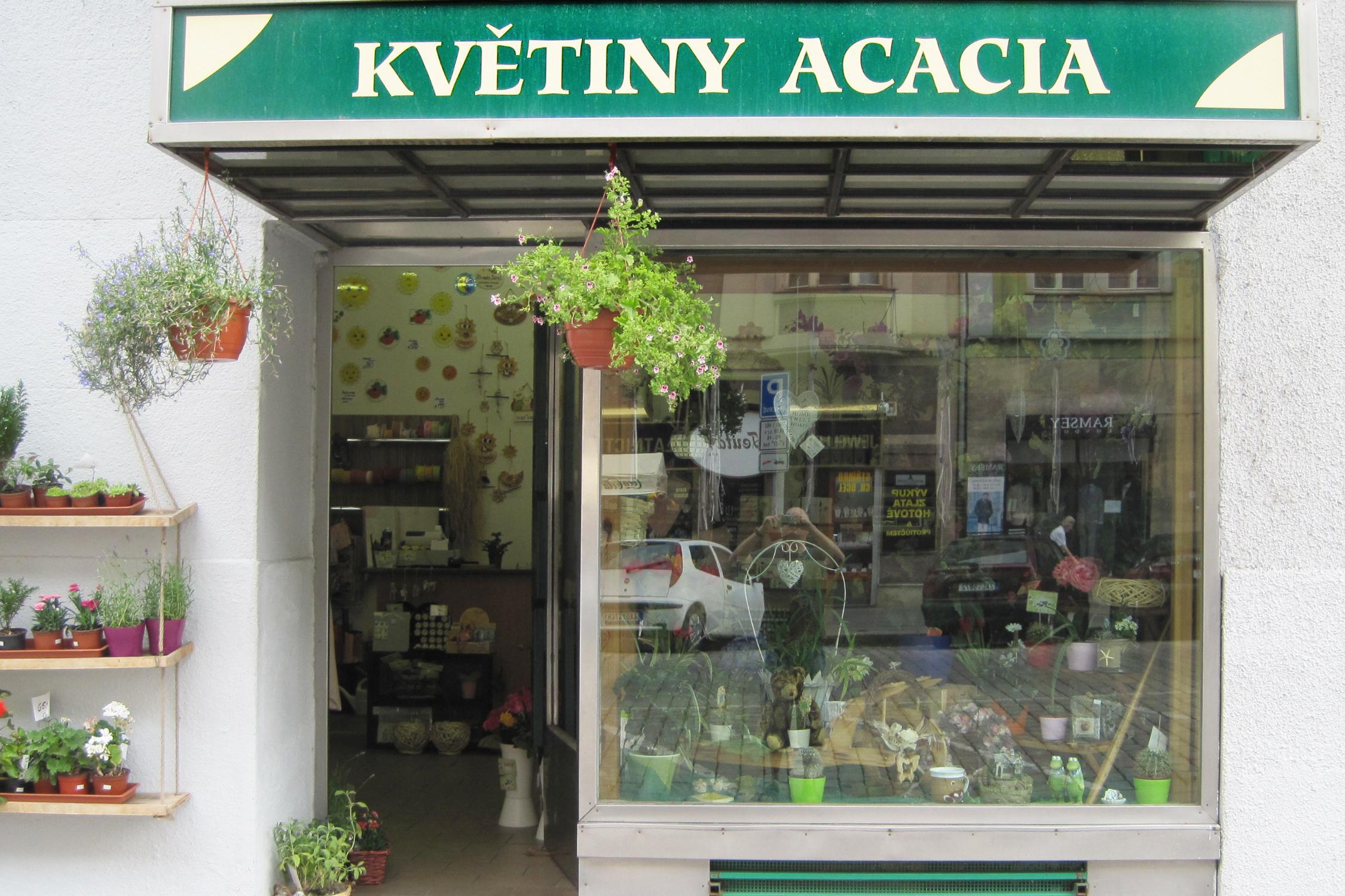 Květinářství Acacia foto 3