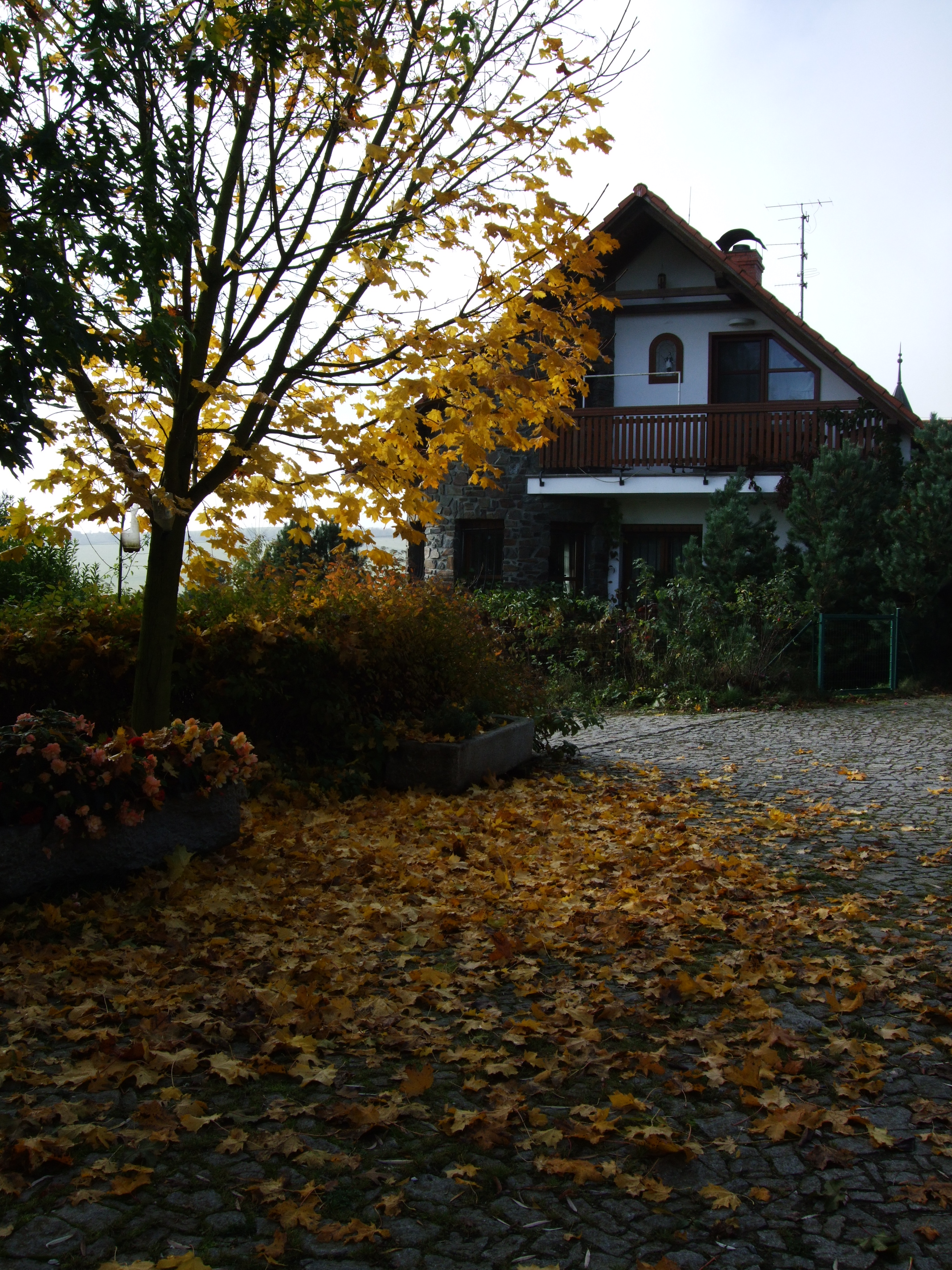 Ing. Jiří Tetzeli - NORD foto 4