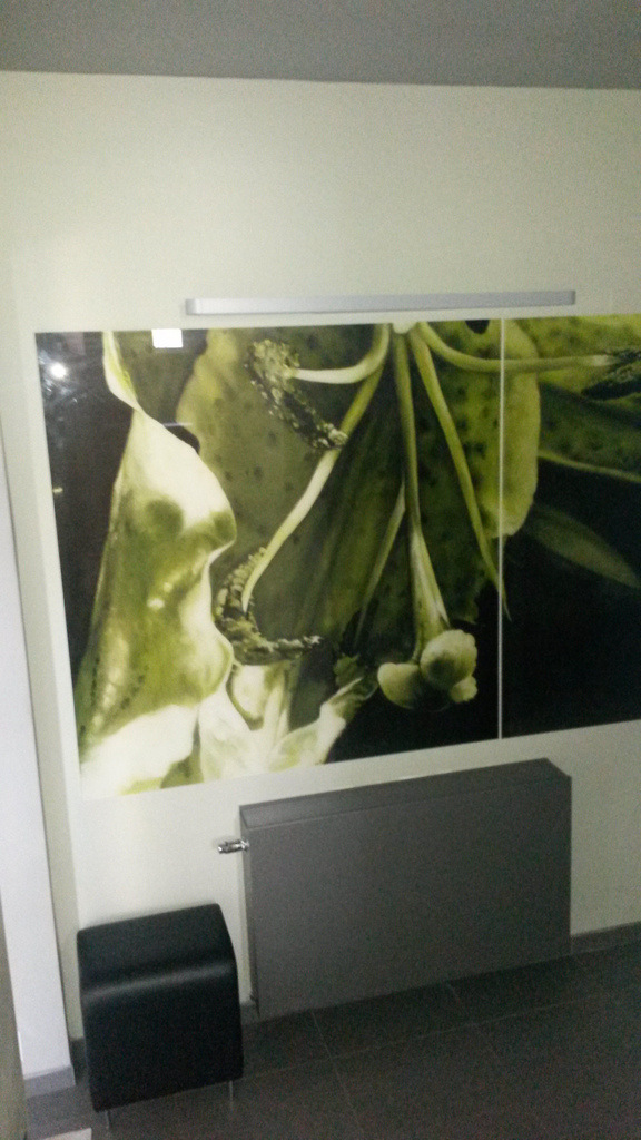 Mgr. Ilona Loubková foto 4