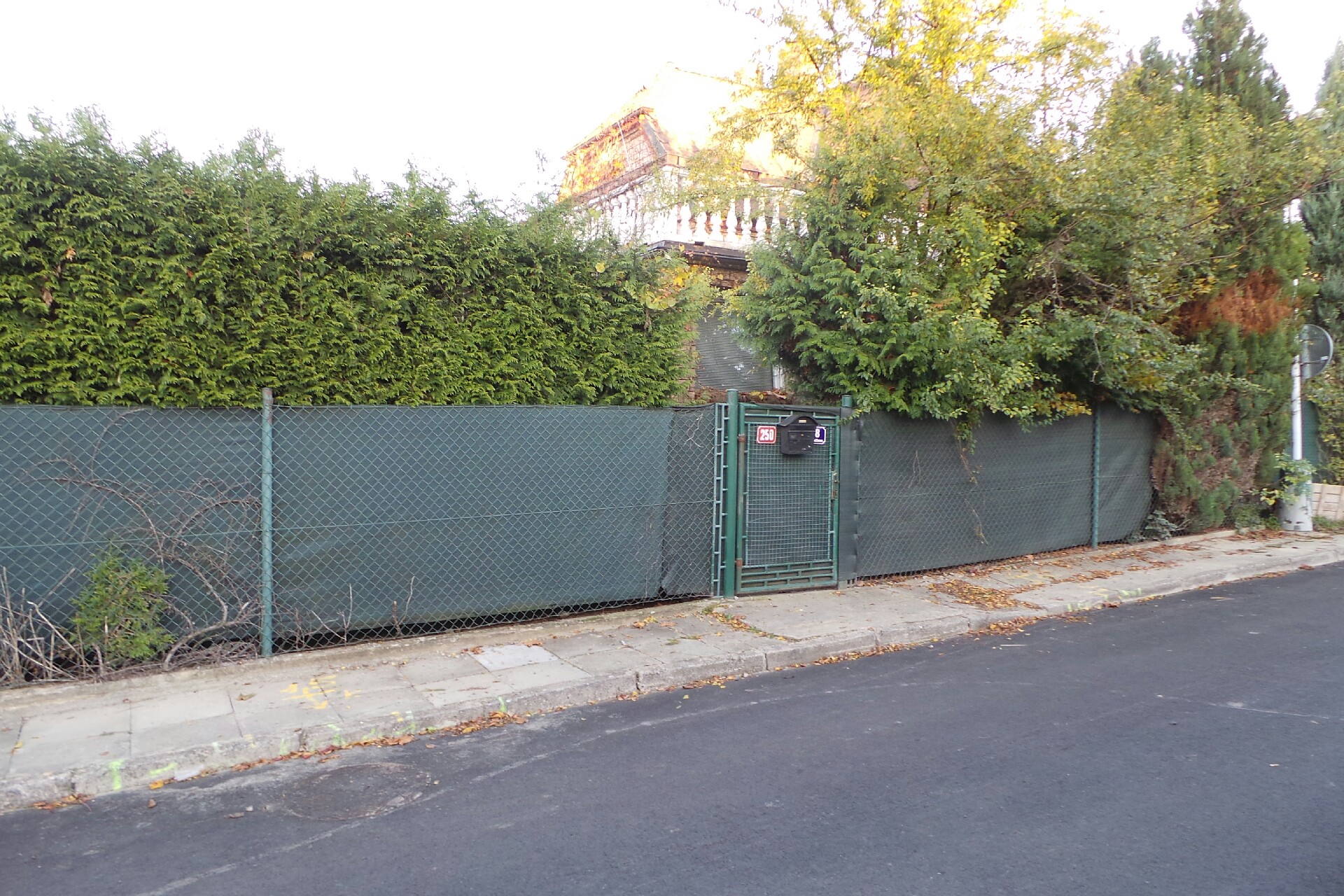 Zorka Machálková foto 1