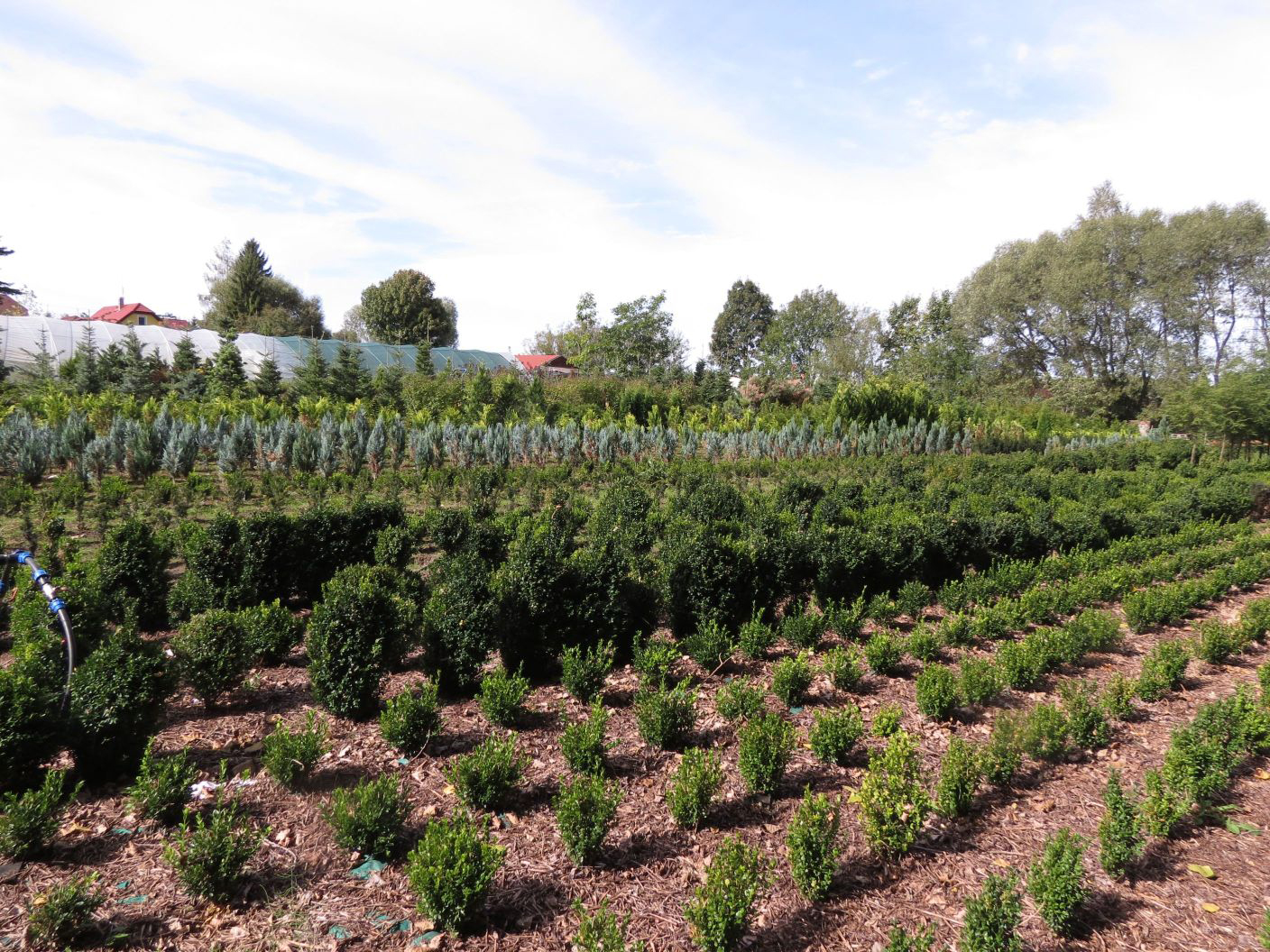 Zahradnictví Franc foto 3