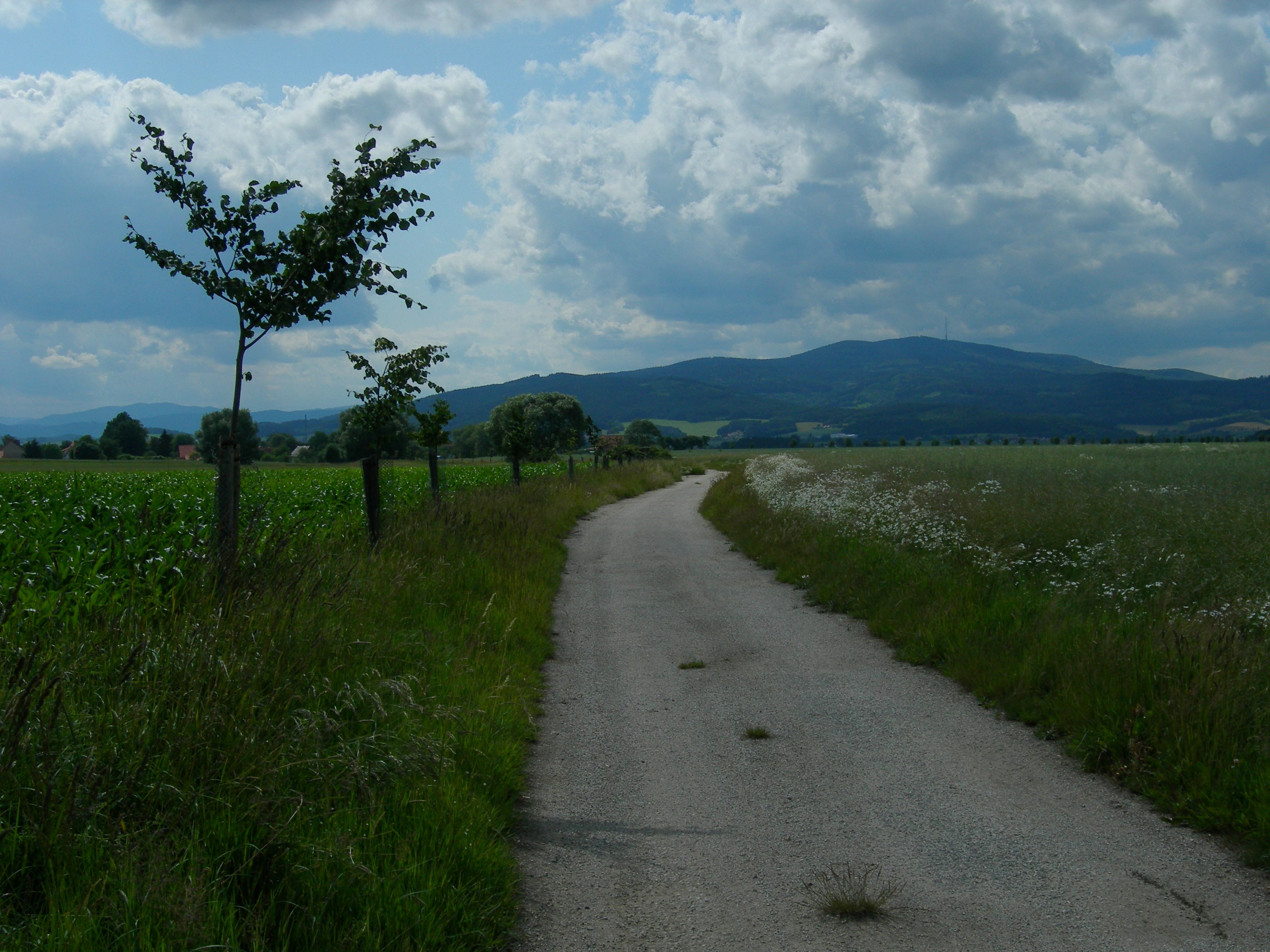 Sociální farma HORSE foto 3