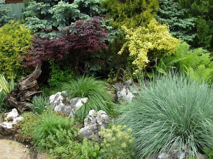 D&G Garden Studio foto 5